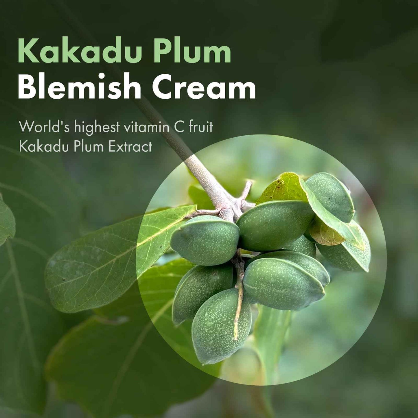 TOSOWOONG Kakadu Plum Blemish Cream, Dark Spot Remover for Face Cream, Kakadu Plum 600,000ppm, Niacinamide, Adenosine, Betaine, Dark Spot Corrector, Vitamin C, Korean Skin Care, 50g, 1.76 oz.