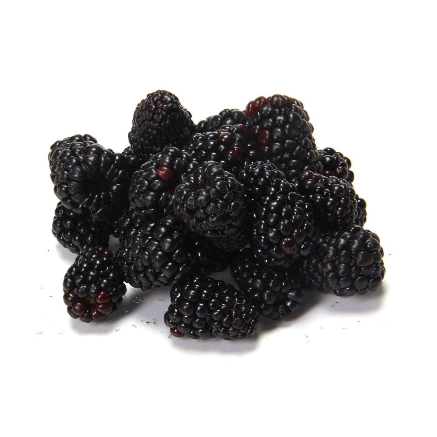 Blackberries, 6 oz