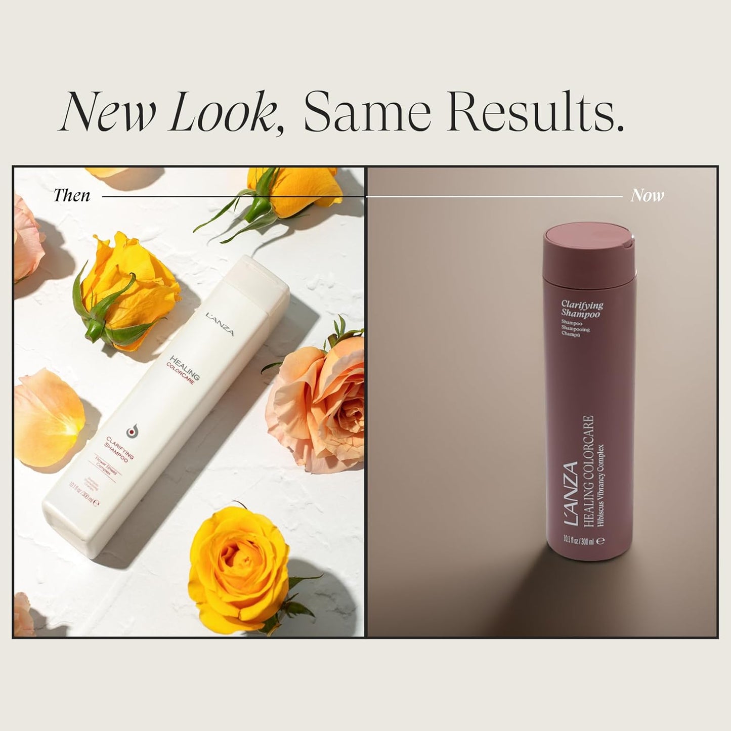 L'ANZA Healing Colorcare Shampoo - Purifying & Moisturizing Formula for Softness & Shine | Sulfate-Free
