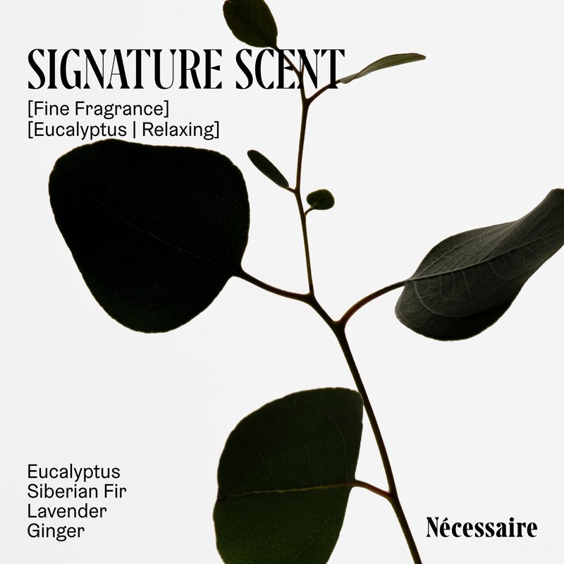 Nécessaire The Body Wash Eucalyptus — Multi-Oil Shower Gel Body Wash for Women + Men. Non-Comedogenic + Hypoallergenic for Sensitive Skin with Niacinamide. 8.4 fl oz.