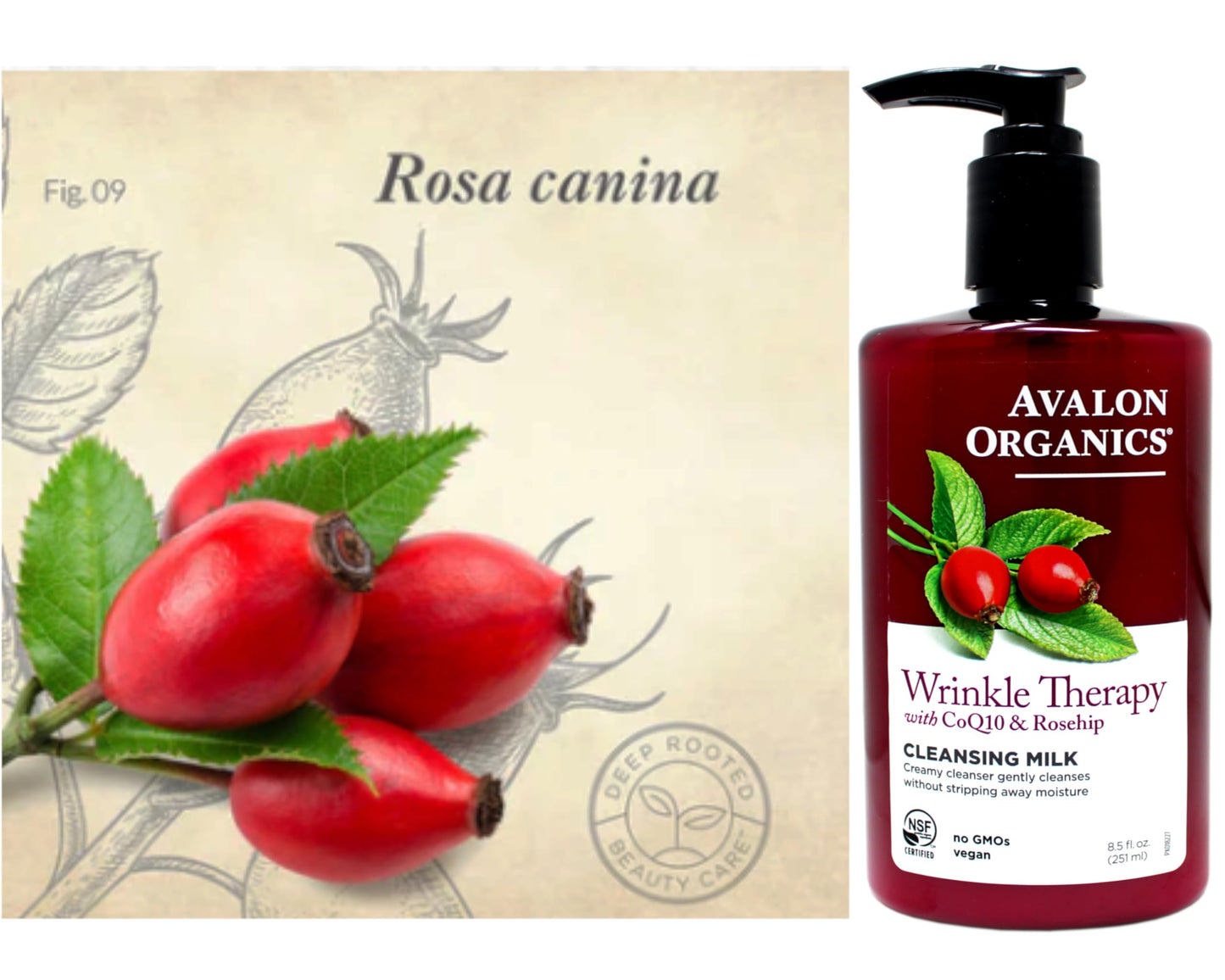 Avalon Organics CoQ10 Facial Cleansing Milk - 8.5 fl oz (Pack of 2)