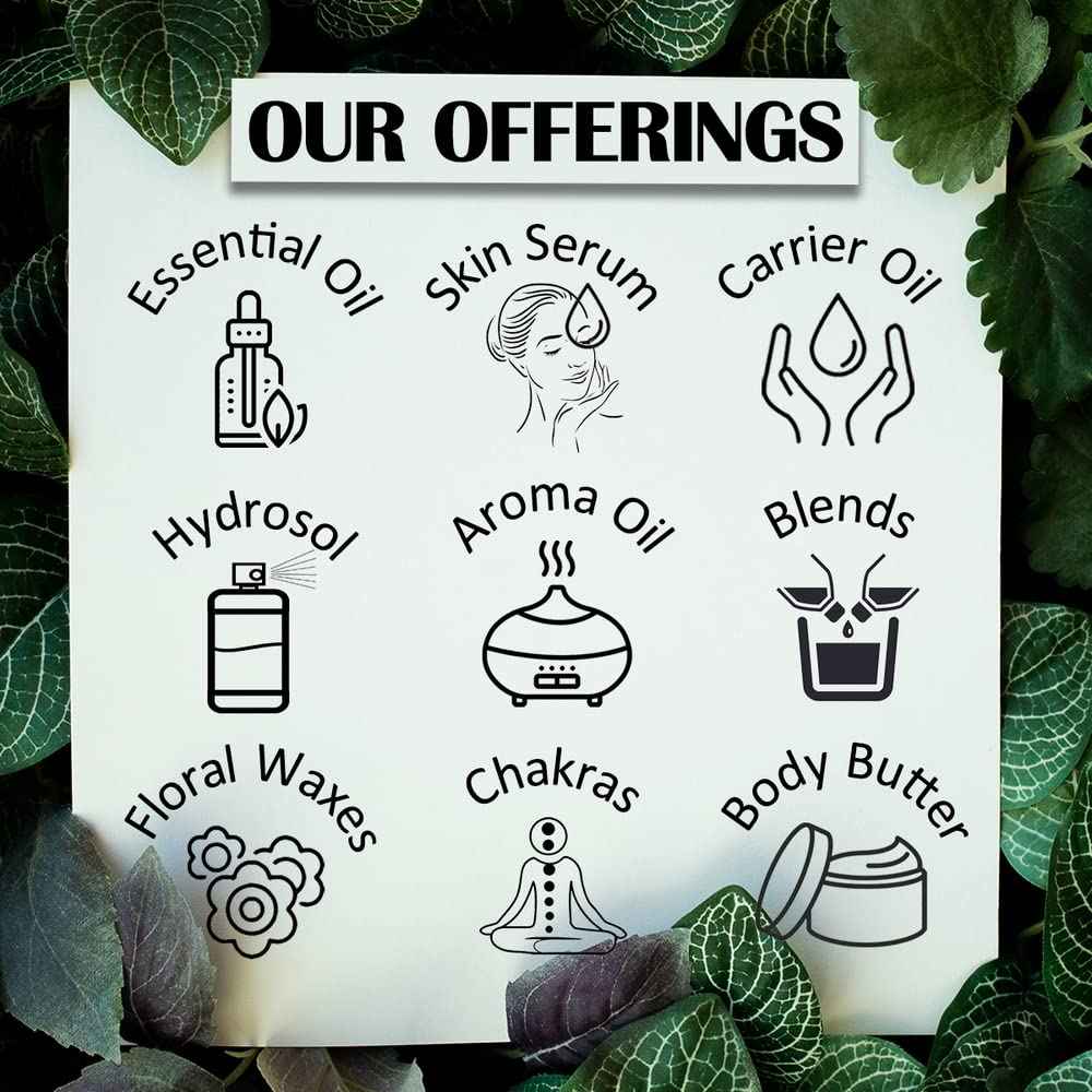 Greenwood Essential Pure Cade Essential Oil (Juniperus oxycedrus) with Glass Dropper Steam Distilled 120ml (4 oz)