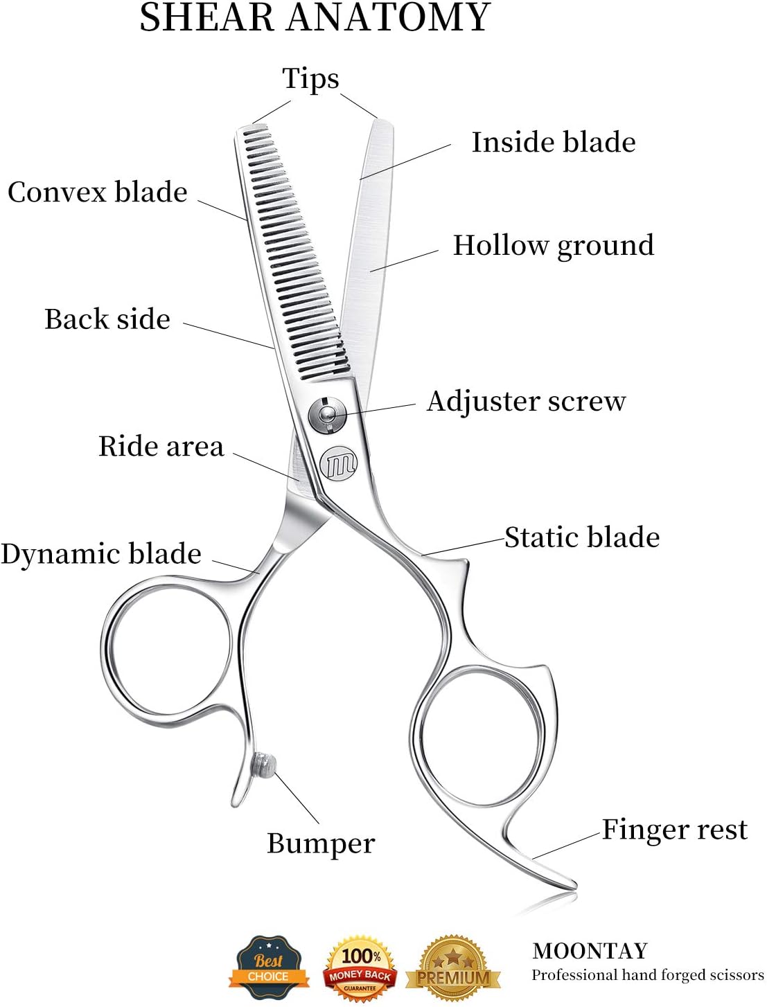 Moontay Hair Cutting Shears - 5.5" Professional Barber Scissors | 440C Japanese Stainless Steel, Large Finger Holes