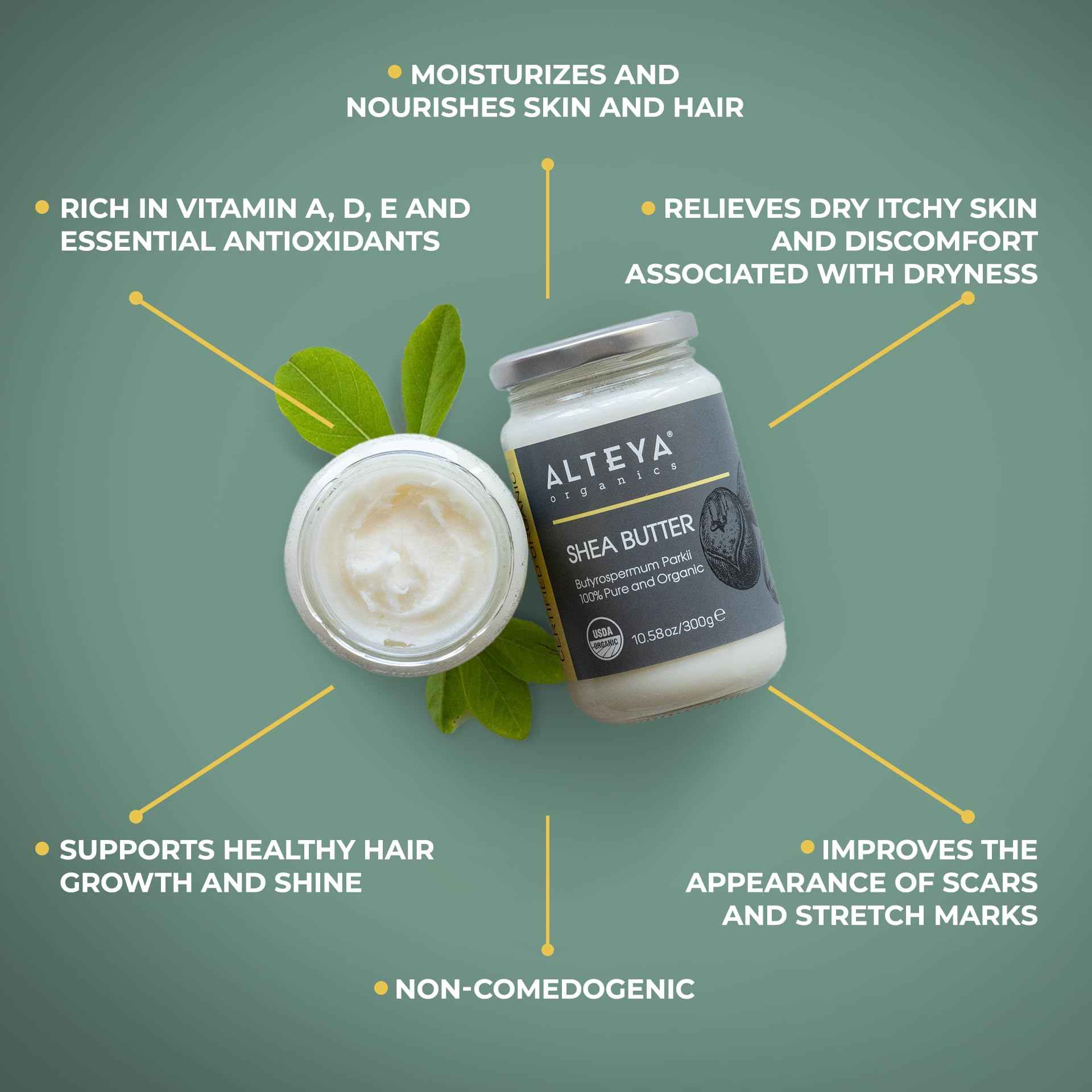 Alteya Organics Pure Shea Butter 10.58fl oz/300g Glass Jar- 100% USDA Certified Organic Pure Shea Butter (Butyrospermum Parkii)