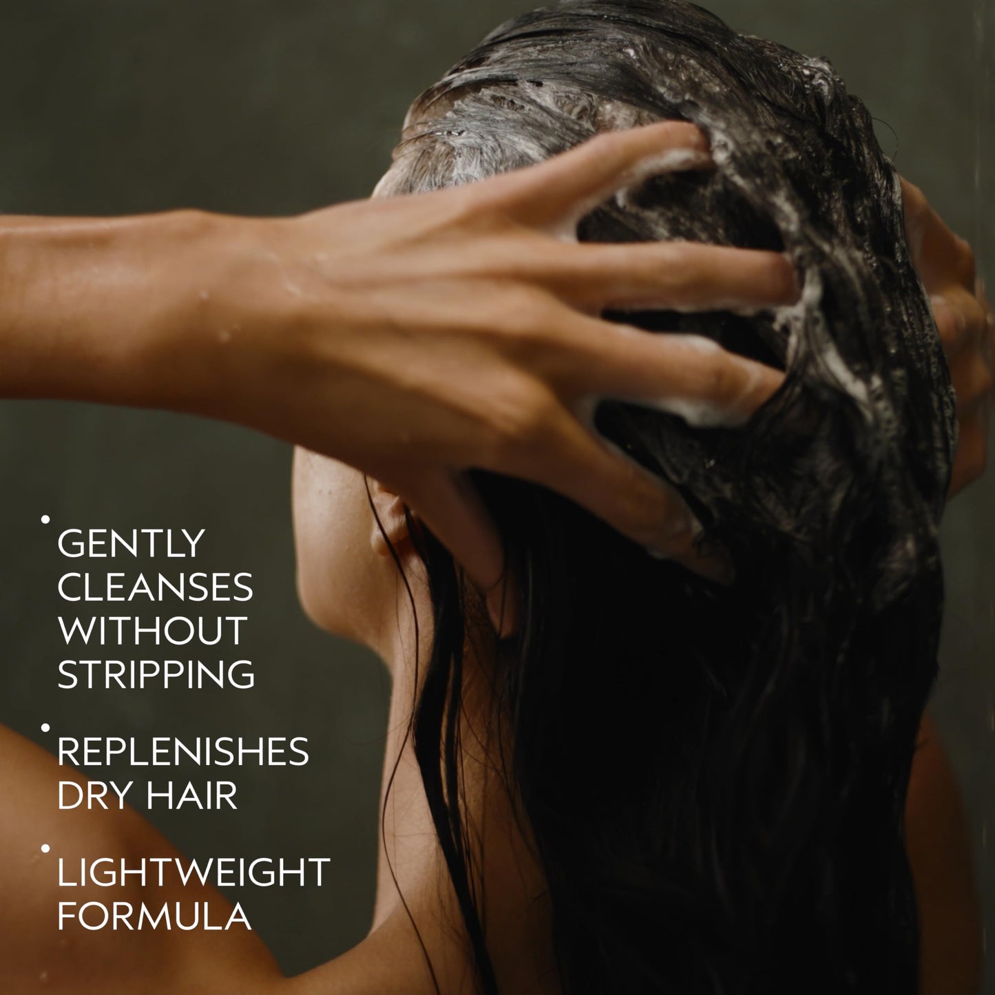 Aveda Nutriplenish Shampoo Light Moisture | Hydrating Shampoo for Fine to Medium Dry Hair | Organic Pomegranate Oil, Coconut Oil, Mango Butter | 93% Naturally Derived*, 8.5 Fl Oz
