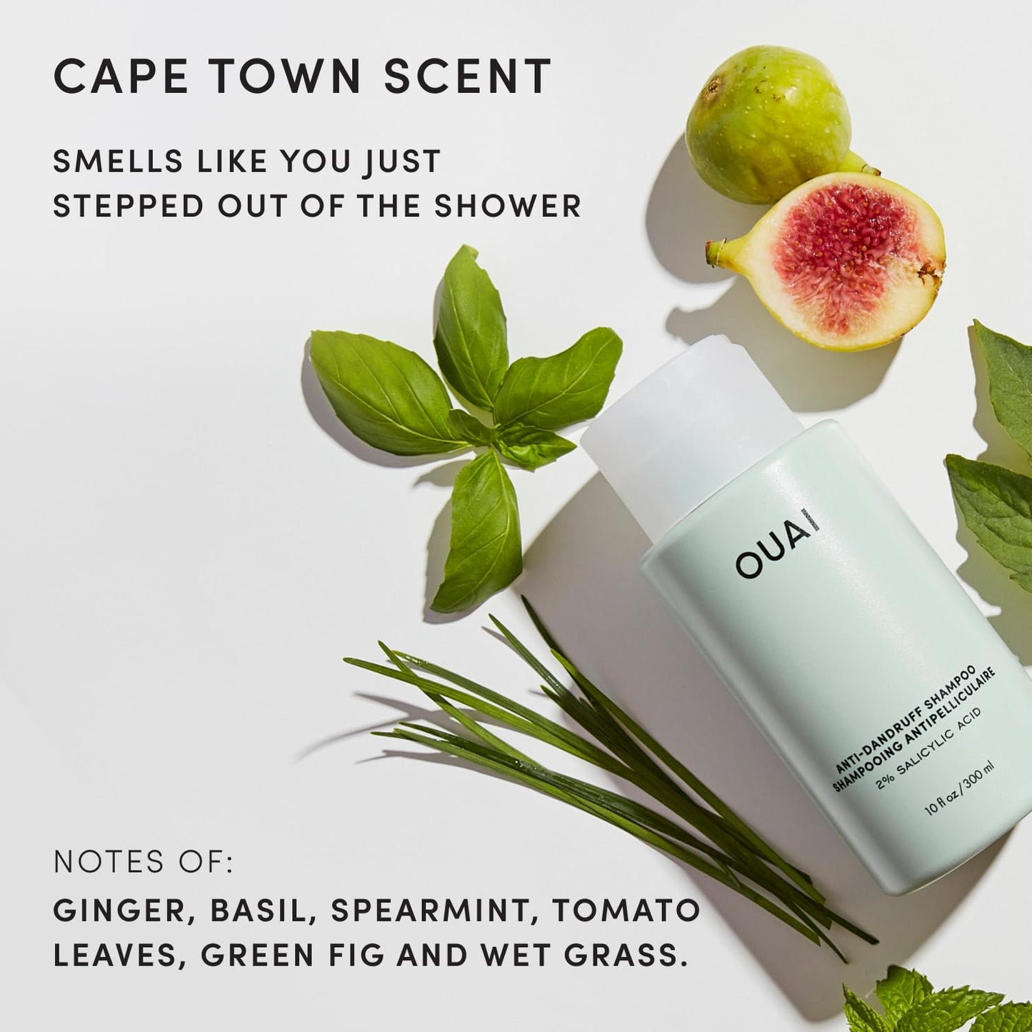 OUAI Anti Dandruff Shampoo - Soothing Salicylic Acid Shampoo for Flaky, Dry and Itchy Scalp - Reduces Itching, Redness and Irritation - Sulfate Free Scalp Care (10 Fl Oz)
