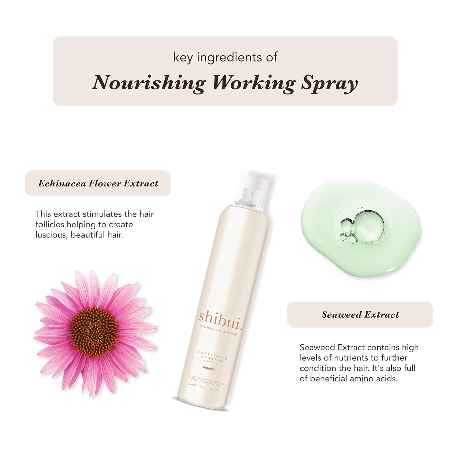 Shibui Nourishing Working Spray - Buildable Hold & Shine, Color-Safe, Vegan | 10 Fl Oz