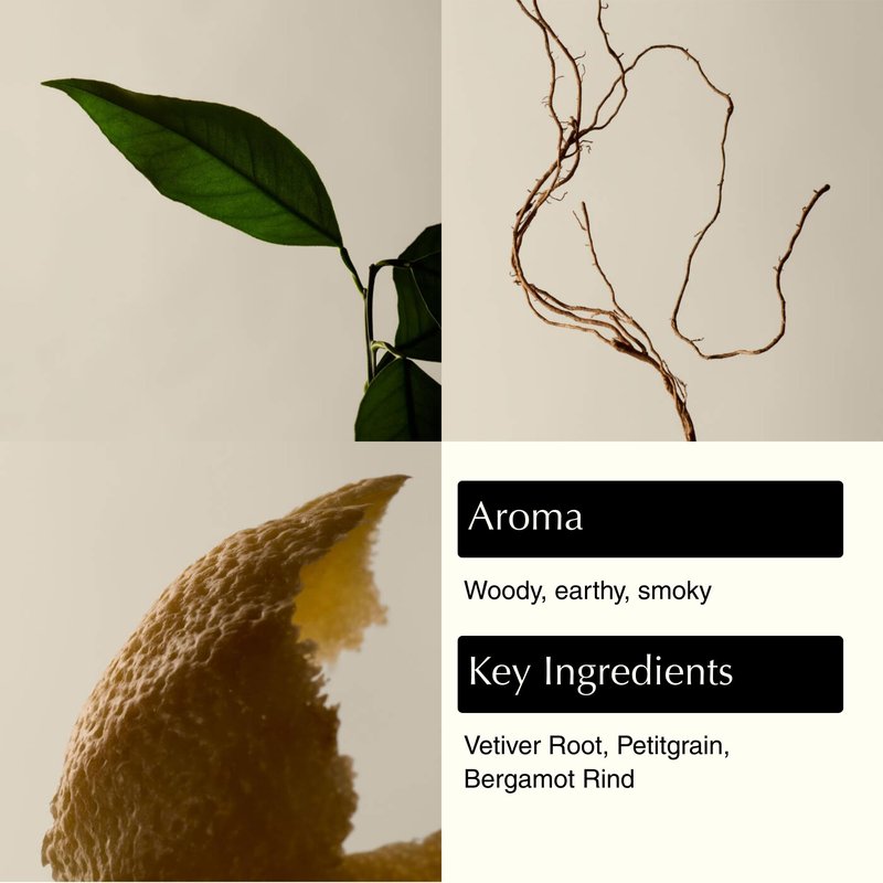 Aesop Reverence Aromatique Exfoliating Hand Wash | Exfoliating Hand Soap with Finely Milled Pumice | Gentle Cleansing & Skin-Smoothing Formula with Vetiver, Petitgrain & Bergamot | 500mL / 16.9 oz