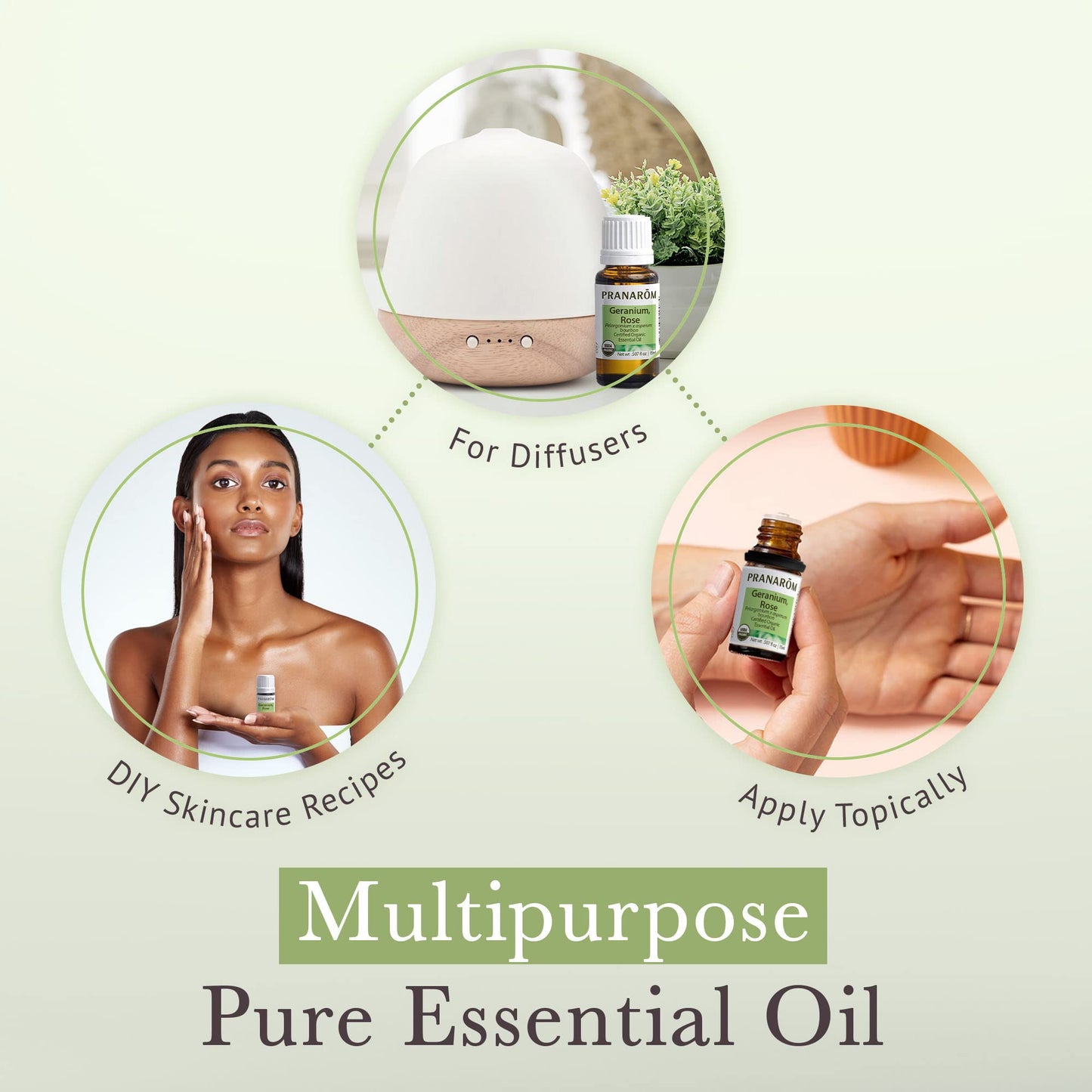 Pranarom USDA Certified Organic Rose Geranium Essential Oil (15ml), 100% Pure Undiluted Therapeutic Grade from Madagascar for Aromatherapy, Diffuser, Skincare, Relaxation, Pure Rose Scent