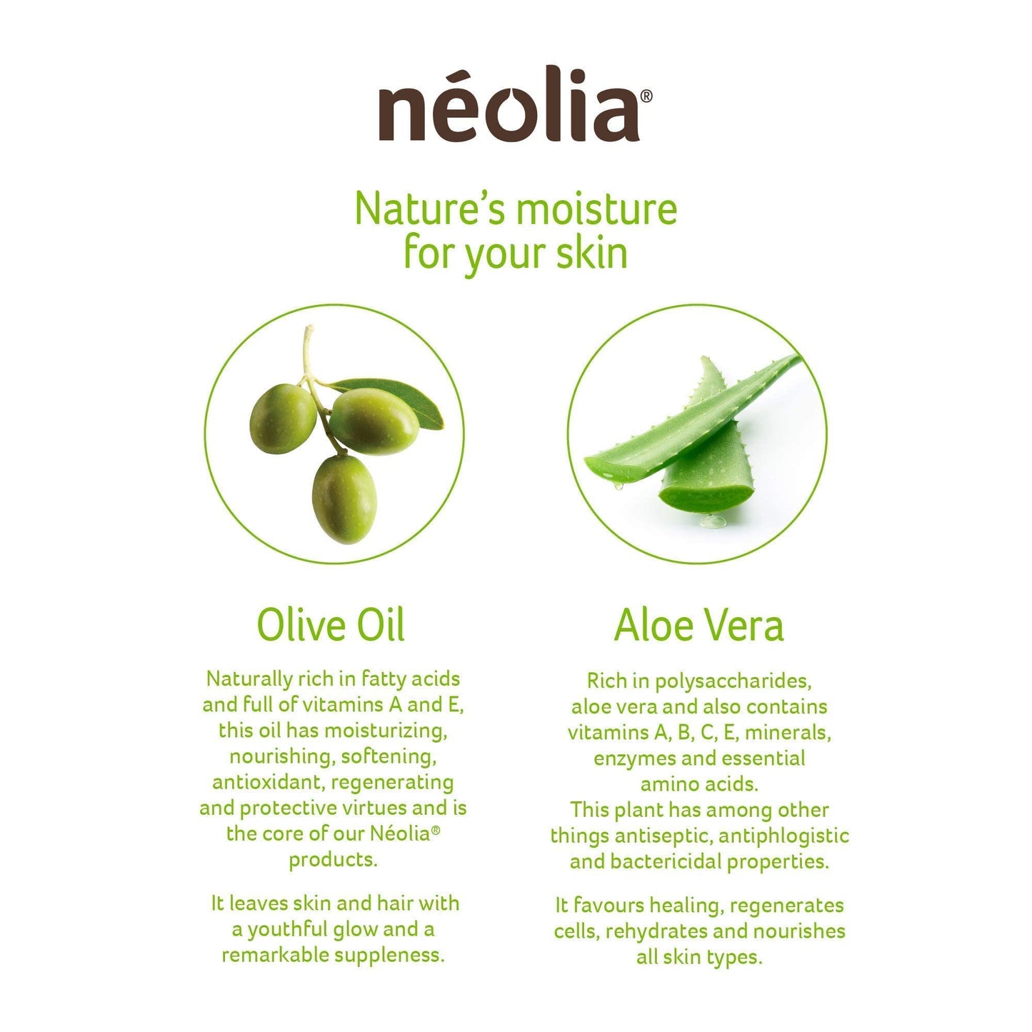 Neolia Olive Oil Soap Bar (8 Pack): Gentle Green Bar Cleanser Made with Organic Italian Extra Virgin Olive Oil & Aloe. Ideal Natural Soap for Dry Skin. Gentle Natural Cleanser for Sensitive Skin.