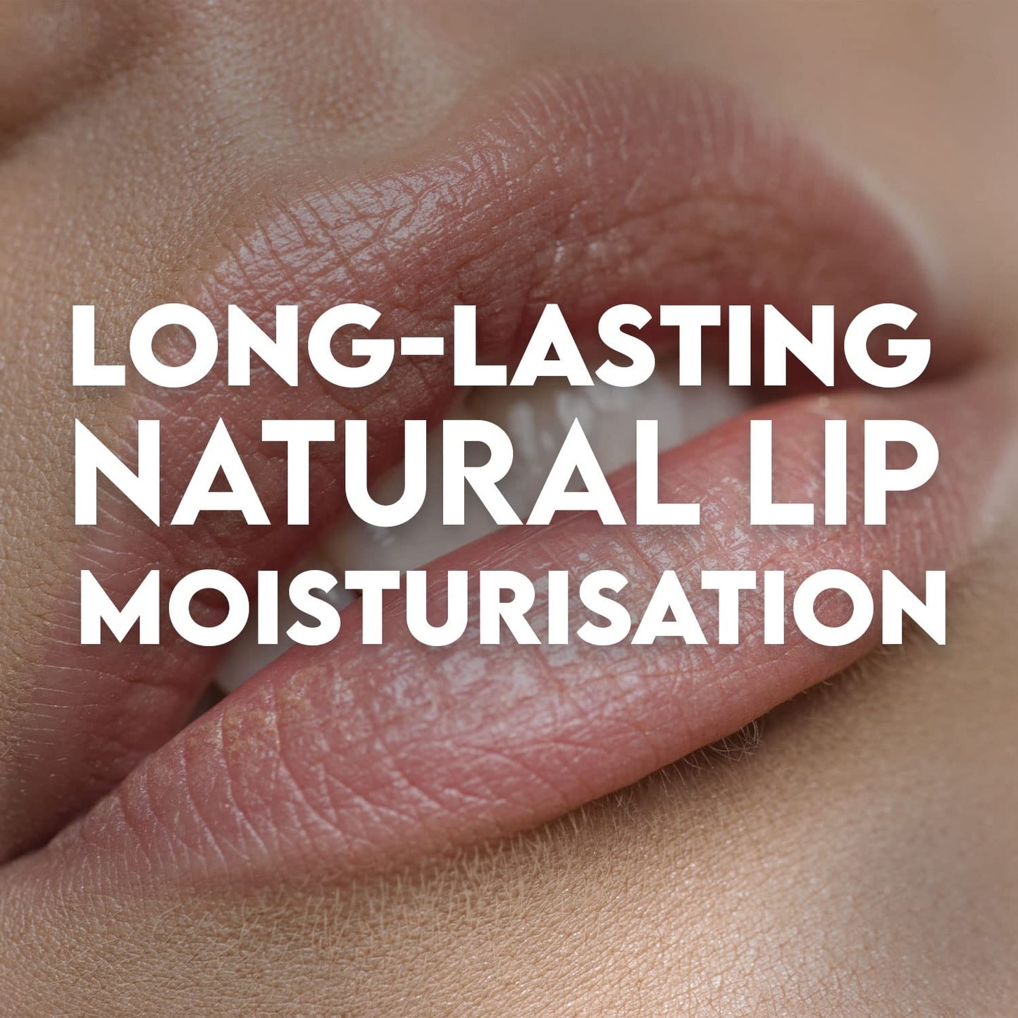 Salt Range Lip balm formulated with cherry and shea butter, 100% natural, soothing, hydrating, and deeply nourishing, Organic chapstick, 6-count pack (12 pieces total)