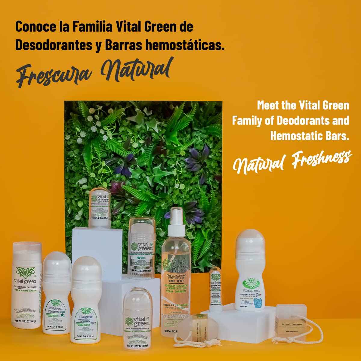 Vital Green Natural Powder Deodorant of Crystal Stone Alum (Potassium) - Unscented - Body or Feet Use - 100 g - 3.53 oz (3 Units)