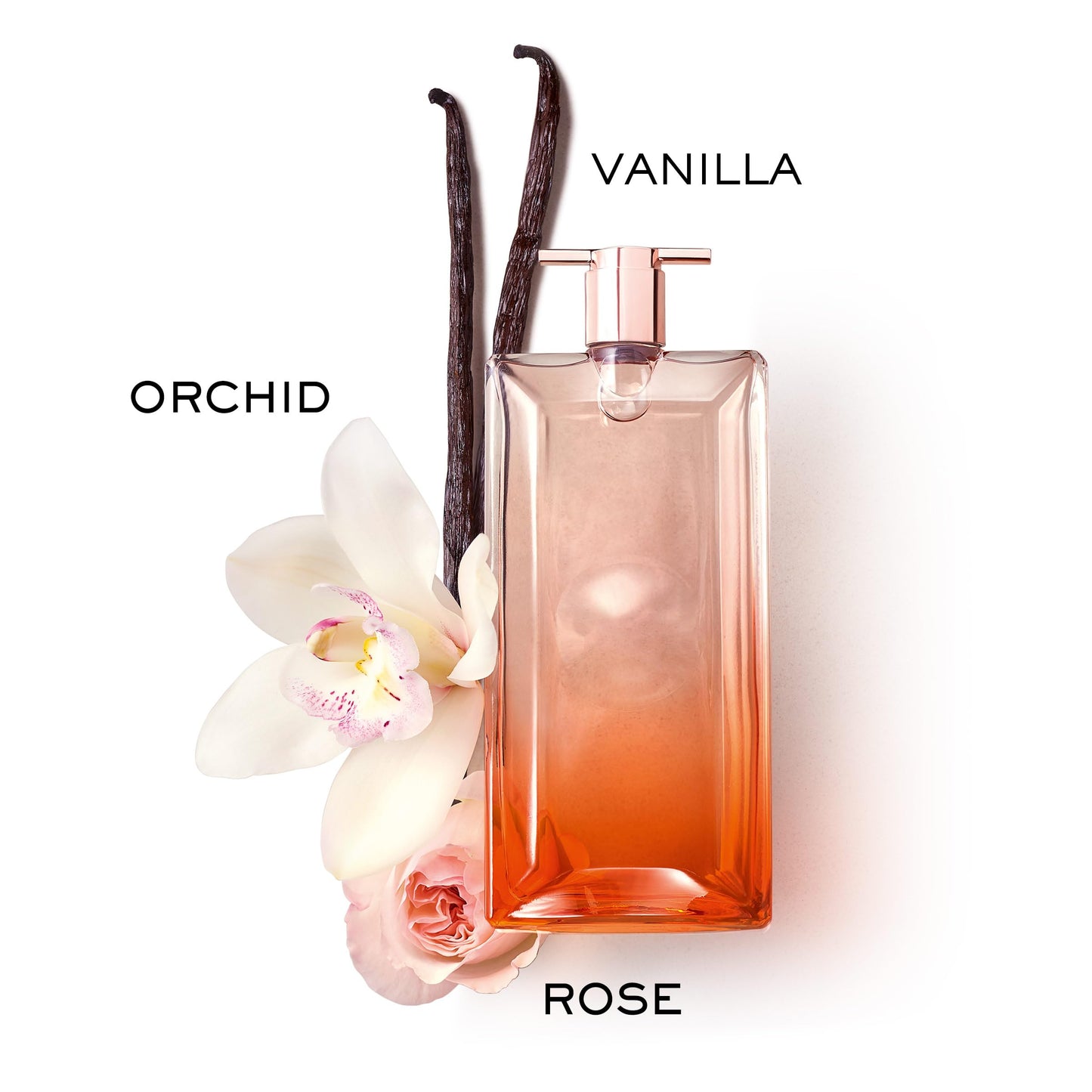 Lancôme Idôle Now Eau de Parfum - Long Lasting Fragrance with Notes of Rose, Musky Orchid Accord & Vanilla - Luminous & Floral Women's Perfume - 1.7 Fl Oz