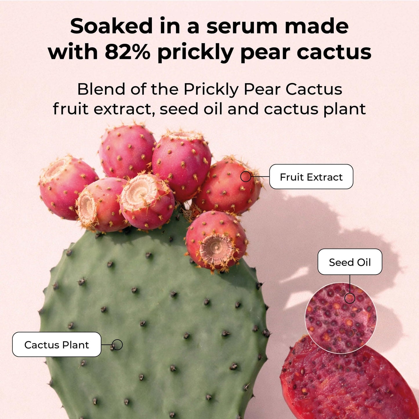 STARSKIN Orglamic Pink Cactus 2-Step Sheet Mask 4x25g, Hydrating & Firming Face Mask for all Skin Types, Revitalizing and Nourishing with Tumeric and Camellia Oil, K Beauty Skincare
