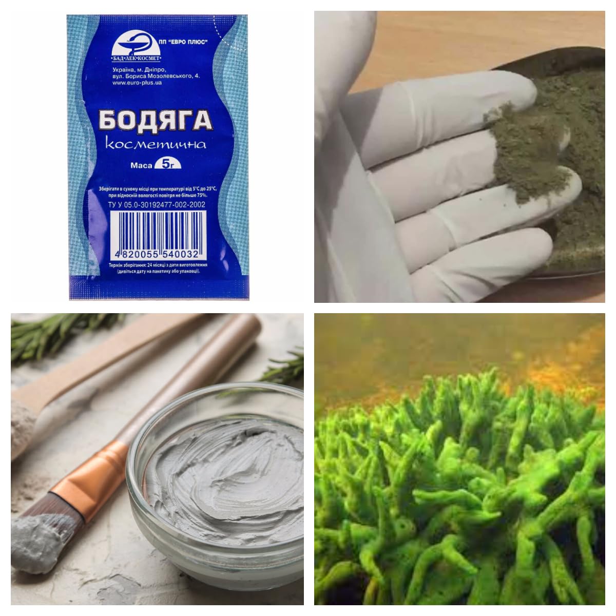Euro Plus 6pcs. x 5gr Euro+ Spongilla Powder cosmetic mask ingridient Бодягa Бадяга
