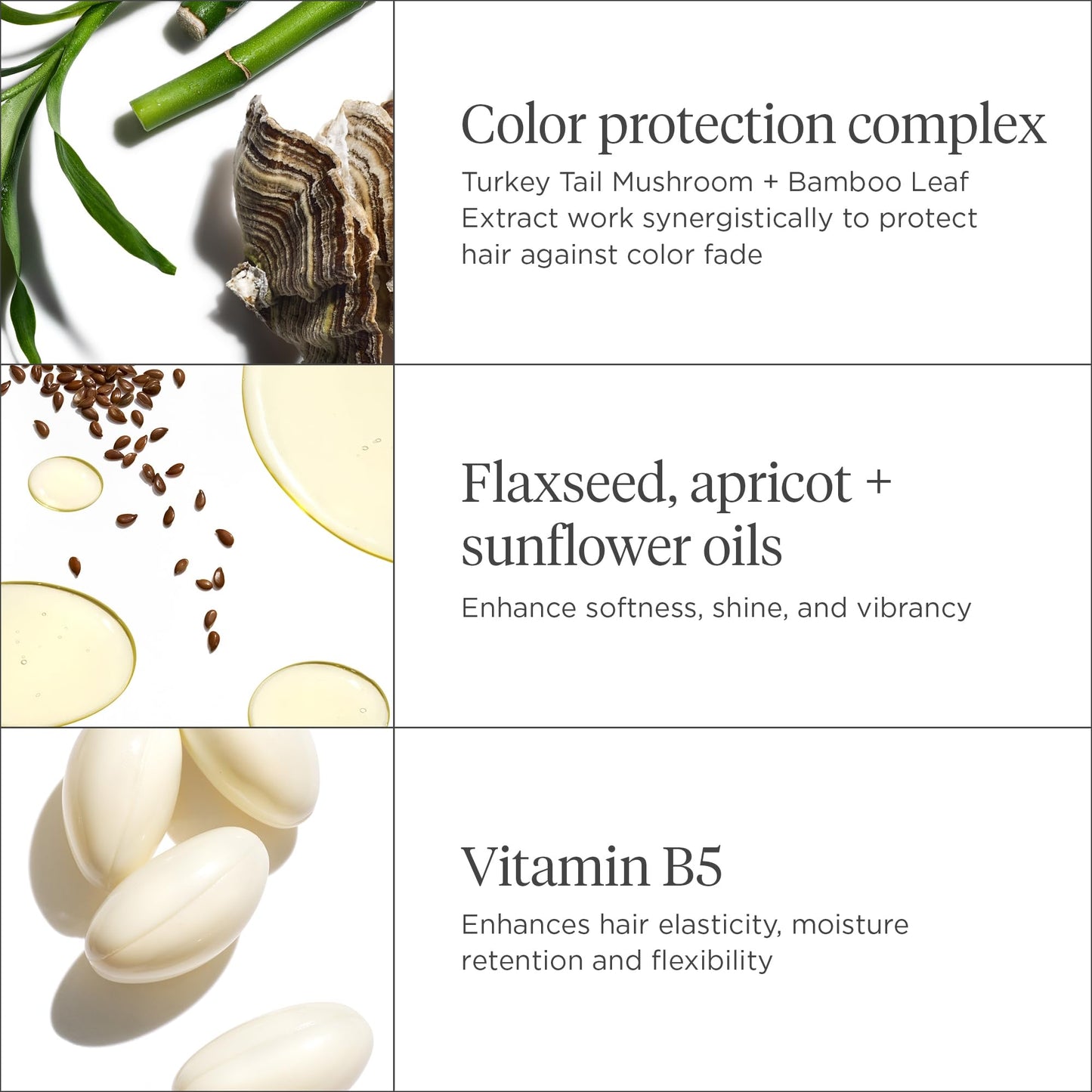 Briogeo Color Me Brilliant Mushroom + Bamboo Color Protect Shampoo | Protects Vibrant Hair Color | Vegan, Phalate & Paraben-Free | 8 Ounces