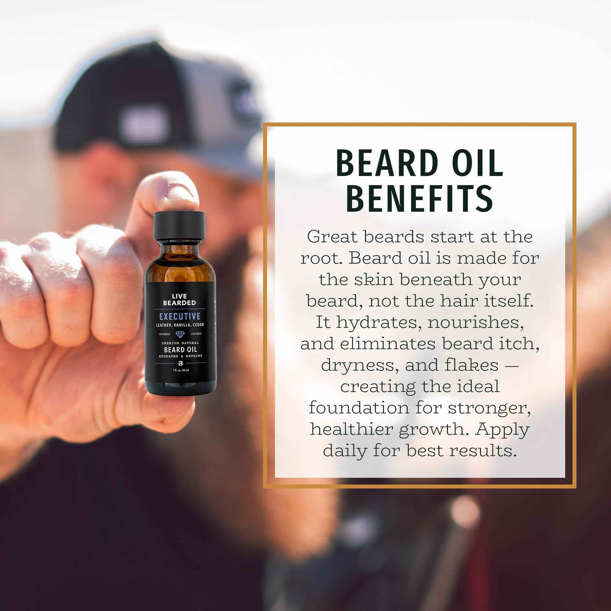 Live Bearded Beard Oil, 1 fl oz - Premium All-Natural Jojoba - Made in the USA - Hair and Skin Care for Men with Dry, Flaky Patches | Executive Scent - Cedar, Vanilla