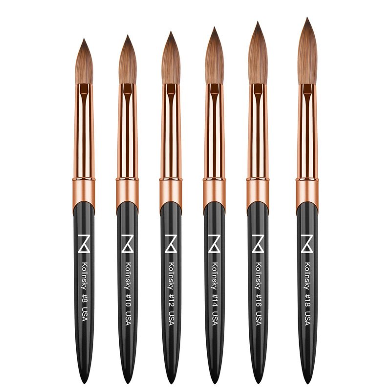 M – Regal 100% Kolinsky Acrylic Nail Brush | Professional Acrylic Nail Sculpting & Application Brush | Premium Nail Art Tool for Nail Technicians & Artists (#16)