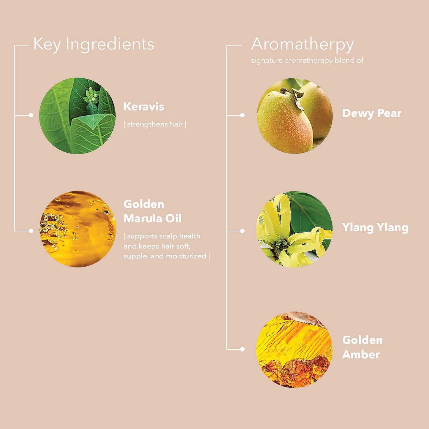 Pureology Nanoworks Gold Shampoo | For Very Dry, Color-Treated Hair | Renews Softness & Shine | Sulfate-Free | Vegan
