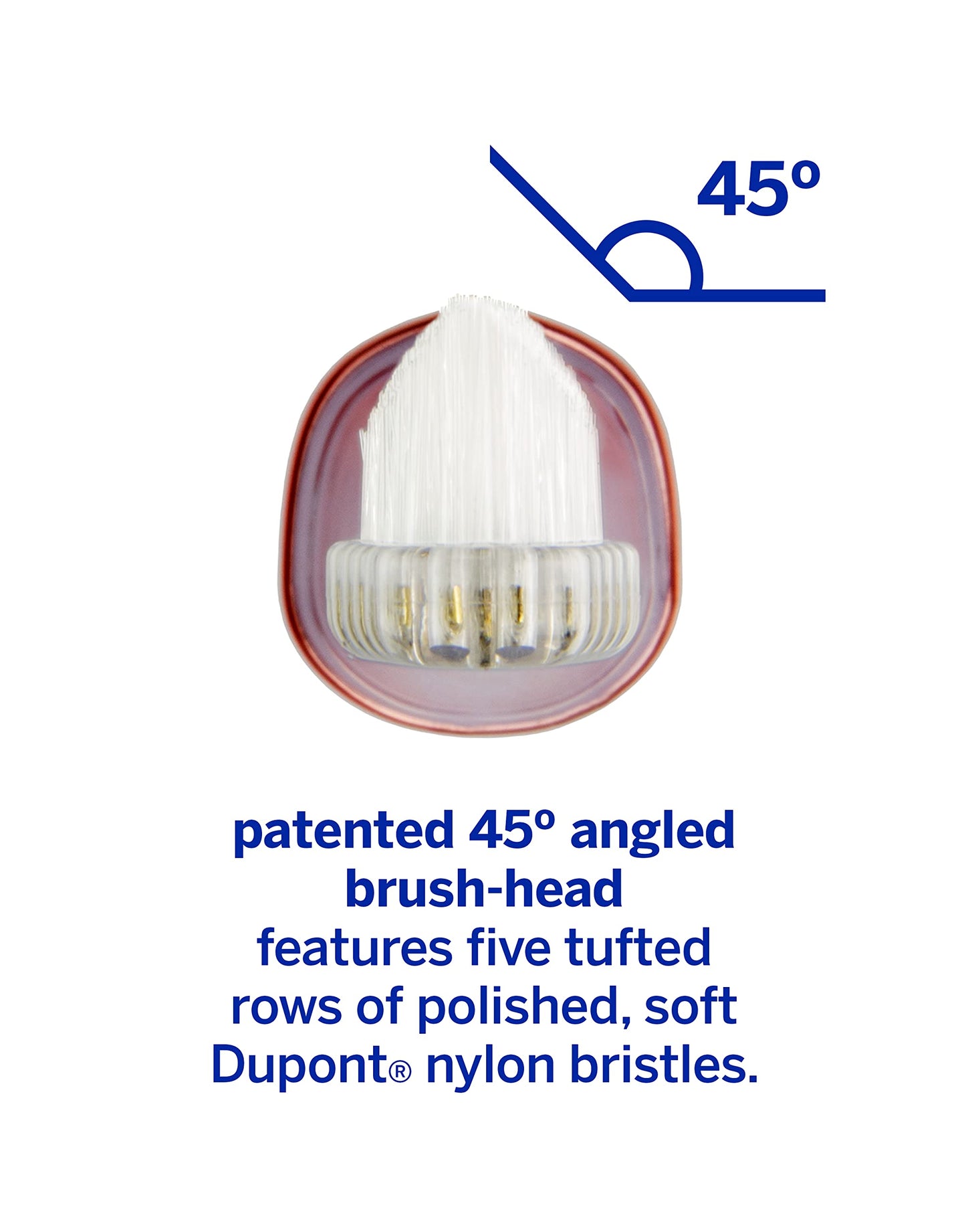 Supersmile Zina45 Replacement Brush Heads, 2 Count, Rose Gold, Patented 45° Angled Toothbrush Replacement Heads with Dupont® Bristles, Fits Zina45 Sonic Toothbrush