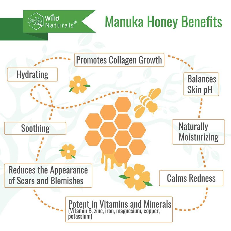 Wild Naturals Aloe Vera Gel Hand Cleaner - Organic Waterless Wash with Manuka Honey & Essential Oils | 8 oz