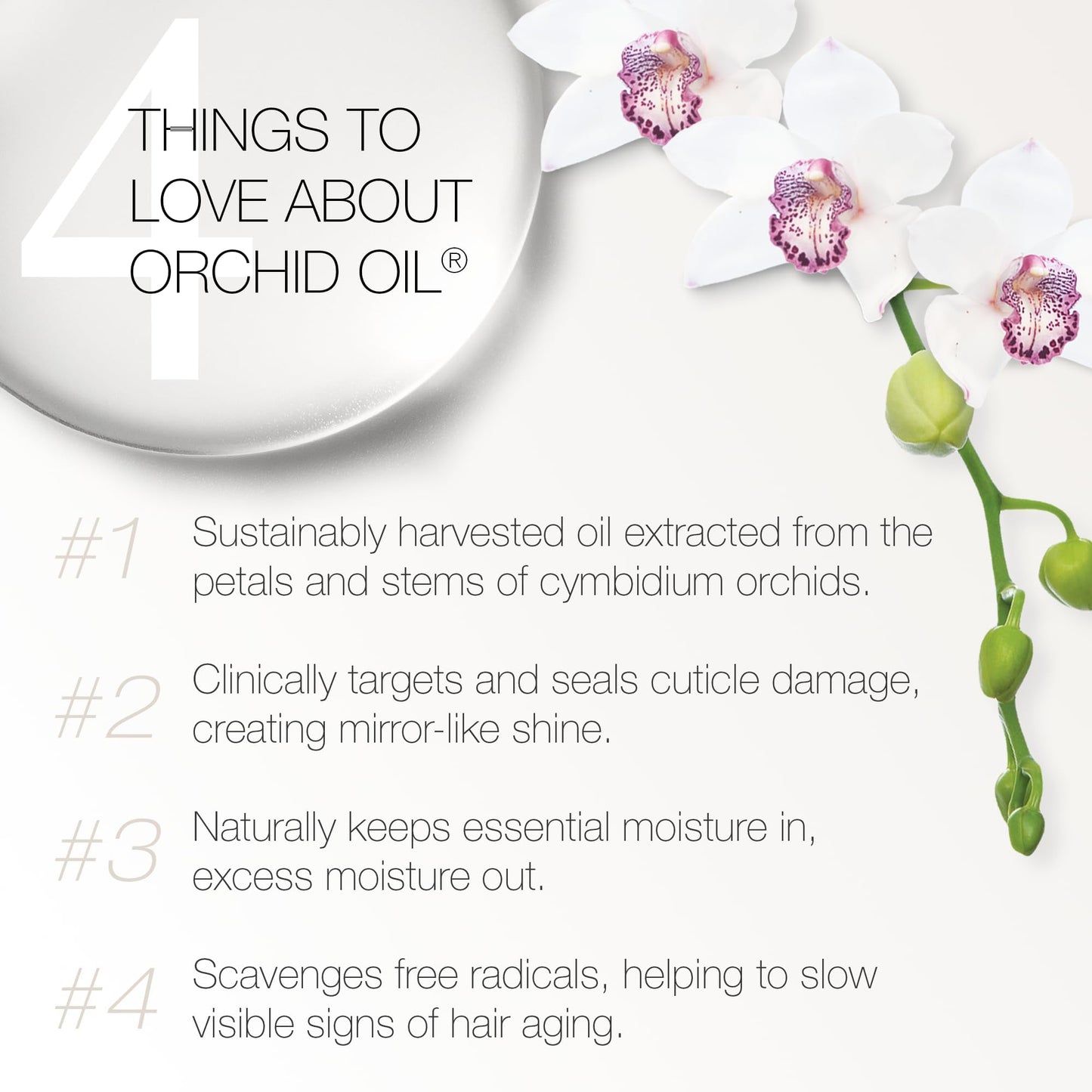 Redavid Orchid Oil Ultra Nourishing Treatment - Luxury Hair Oil made from Cymbidium Orchids for Damaged, Curly Hair - Clinically Strengthens, Adds Protein & Hydrates Hair (3 Fl Oz)