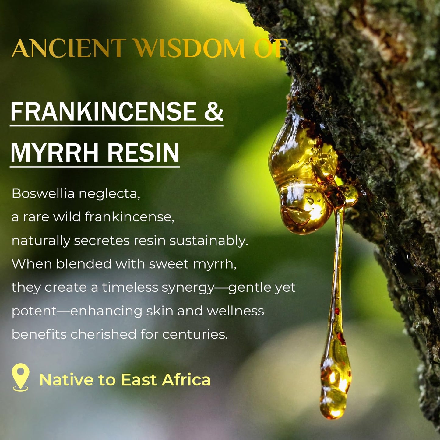 FeeMeFee Frankincense Balm 4oz, Frankincense Essential Oil with Myrrh for Soothing Relief, Muscle Relaxation, Boswellia Serrata, Olive Oil, Vitamin E, Moisturizer for Dry, Cracked Skin