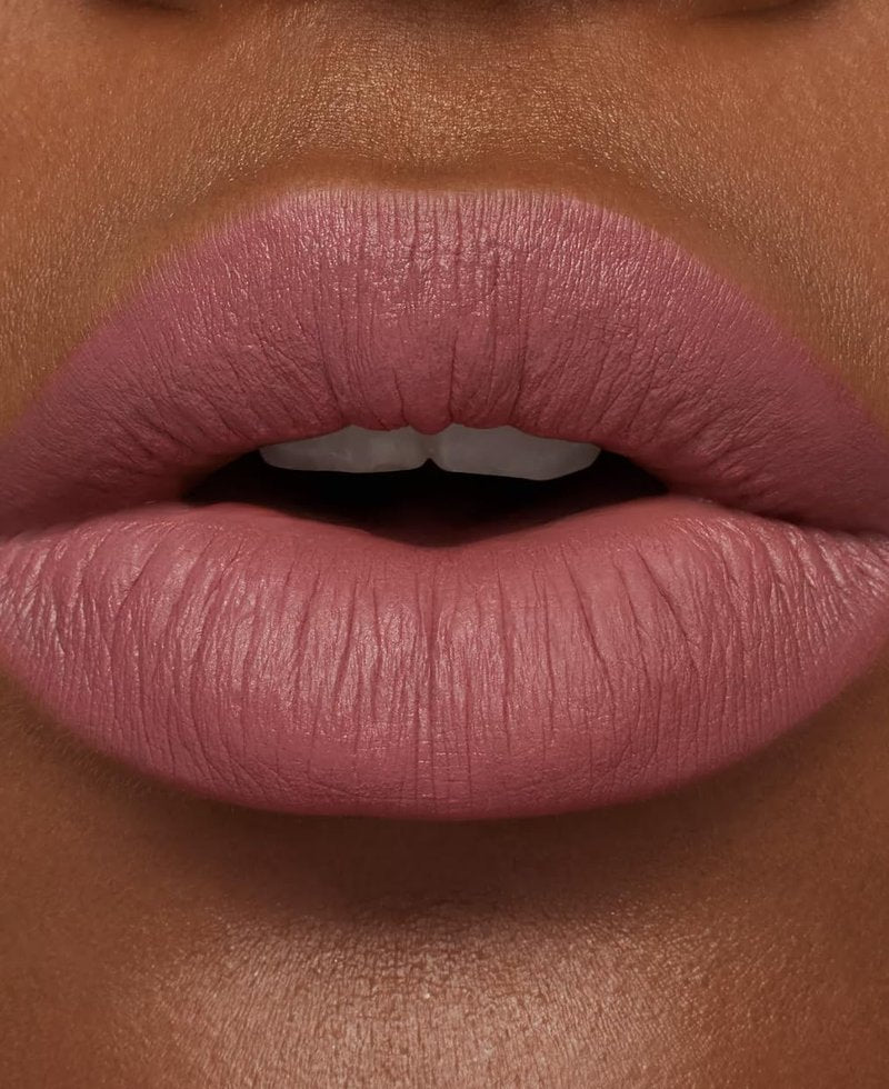 Silky Matte Lipstick - Twig Twist 690 | Long-Lasting Pink Color