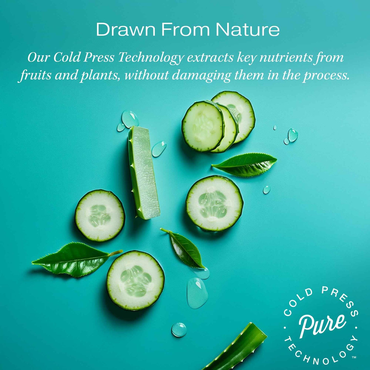 RAW SUGAR Simply Hand Wash, 16.9 Fl Oz (Pack of 4) Green Tea Liquid Hand Soap for Kitchen or Bathroom, Cleanses & Refreshes Hands, Formulated without Sulfates & Parabens