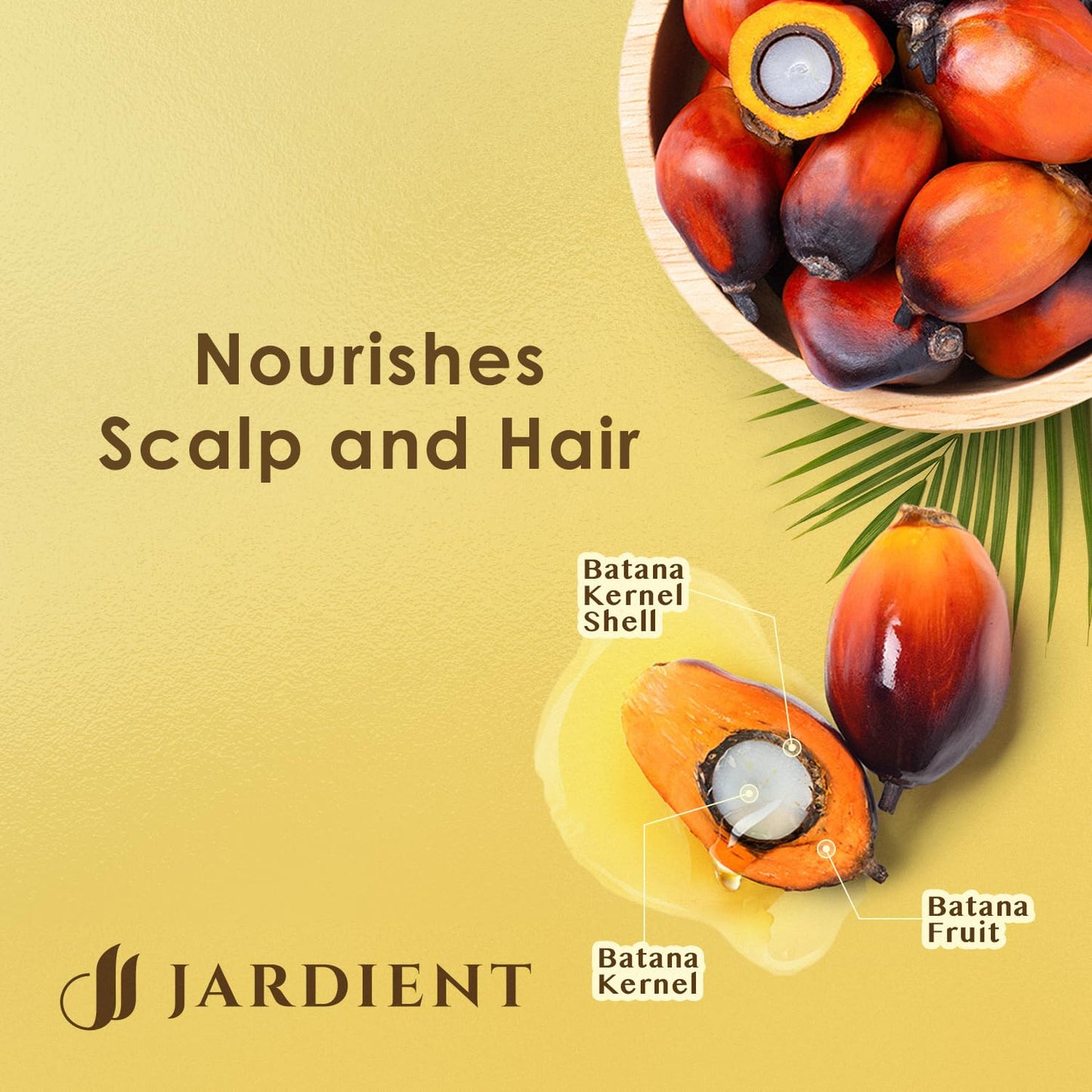 Jardient Raw Batana Oil for Hair Growth: Dr Sebi Organic Batana Oil from Honduras - 100% Pure & Natural - Promotes Thicker & Stronger Hair for Men & Women (4 OZ)