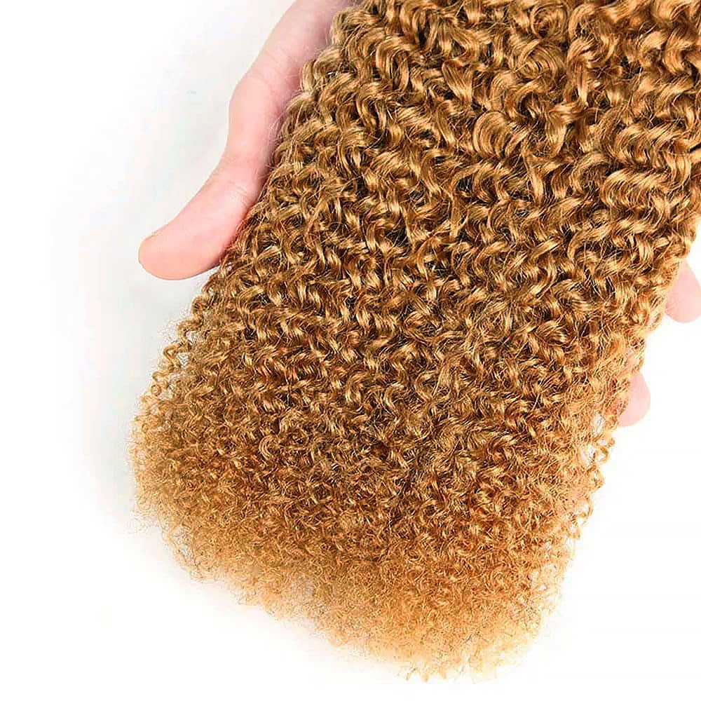 Honey Blonde Human Hair Bundles 16 18 20 Inch Kinky Curly Wave Bundles Human Hair Unprocessed Native Virgin Hair 100/PC 3 Extensions #27 Blonde Color Wet and Wavy Human Hair Extensions for Women