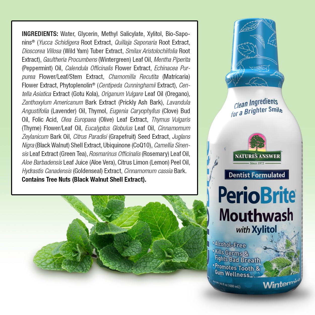 Nature's Answer Periobrite Alcohol-Free Mouthwash, Wintermint, 16 Ounce, 2 Count
