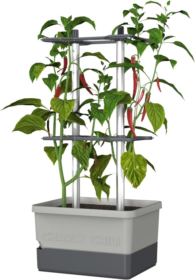 Charly Chili Self-Watering Planter with Vertical Trellis | 1.2 Gal Capacity for Peppers & Eggplants - Grey