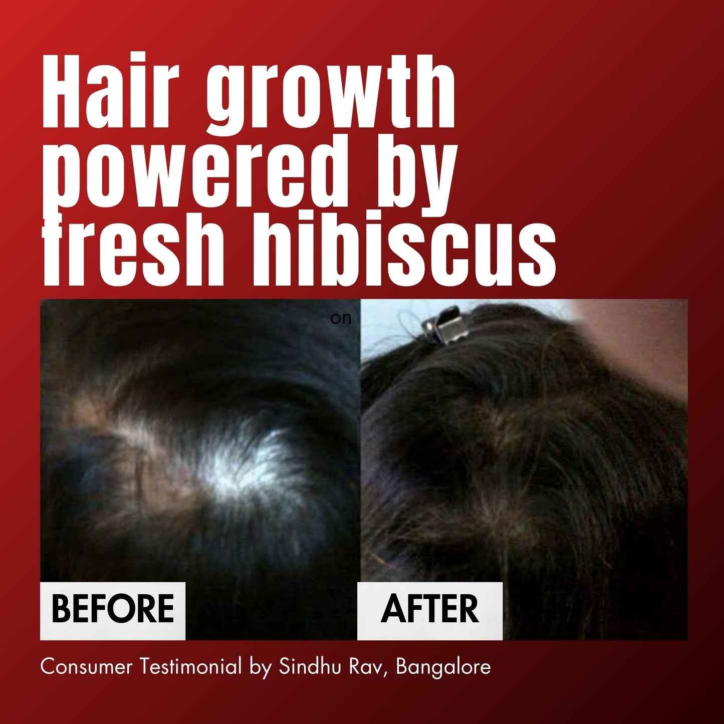 Hibiscus Monkey HM Love Scalp & Hair Oil, Promotes Hair Growth, Reduces Hair Fall, Scalp care, Anti Frizz, Real Hibiscus Flowers, Coconut Milk Oil, Natural, No Mineral Oil, Chemical-Free, 100mL