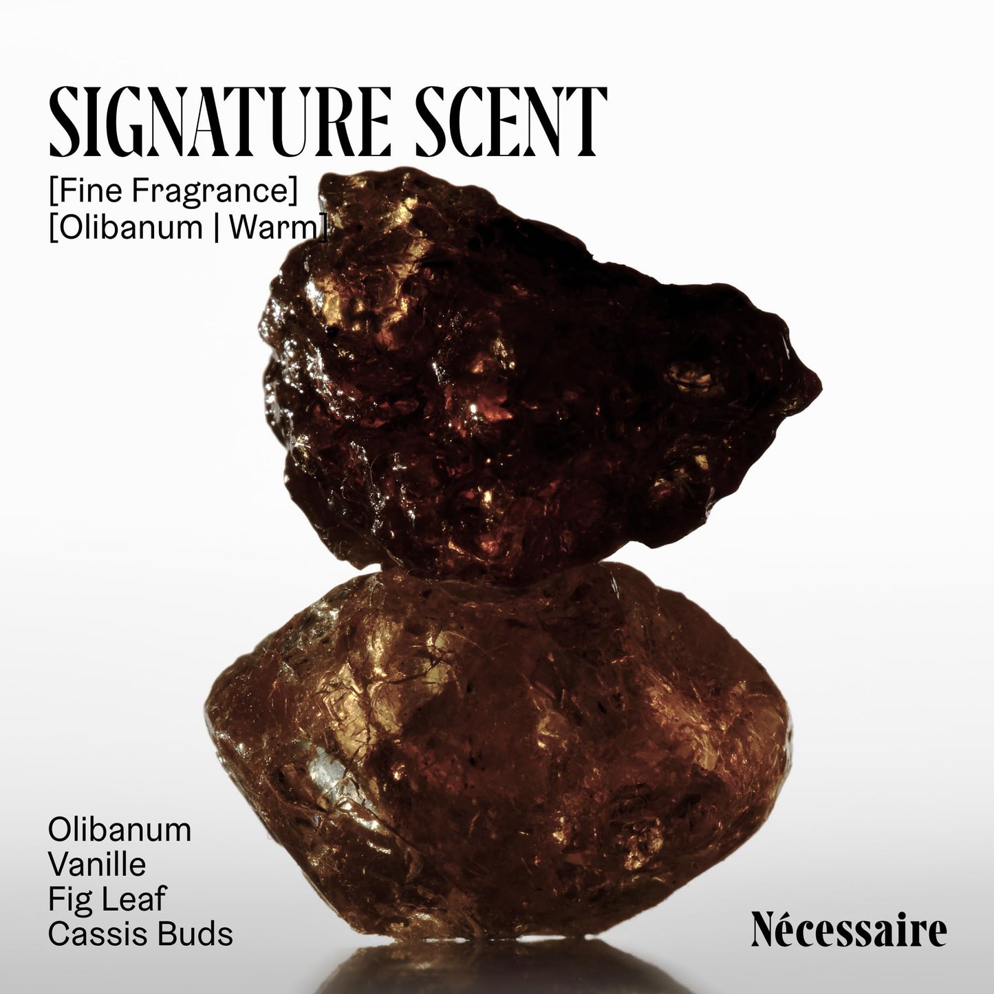 Nécessaire The Body Wash Olibanum - Multi-Oil Shower Gel Body Wash for Women + Men. Non-Comedogenic + Hypoallergenic for Sensitive Skin with Niacinamide. 8.4 Fl Oz.