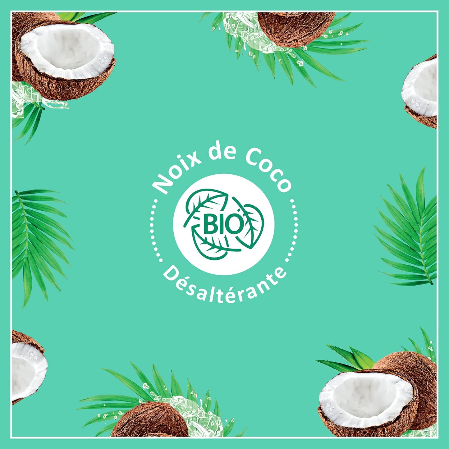 Coconut Body Milk - 48H Moisturizing & Soothing Body Lotion | 250ml