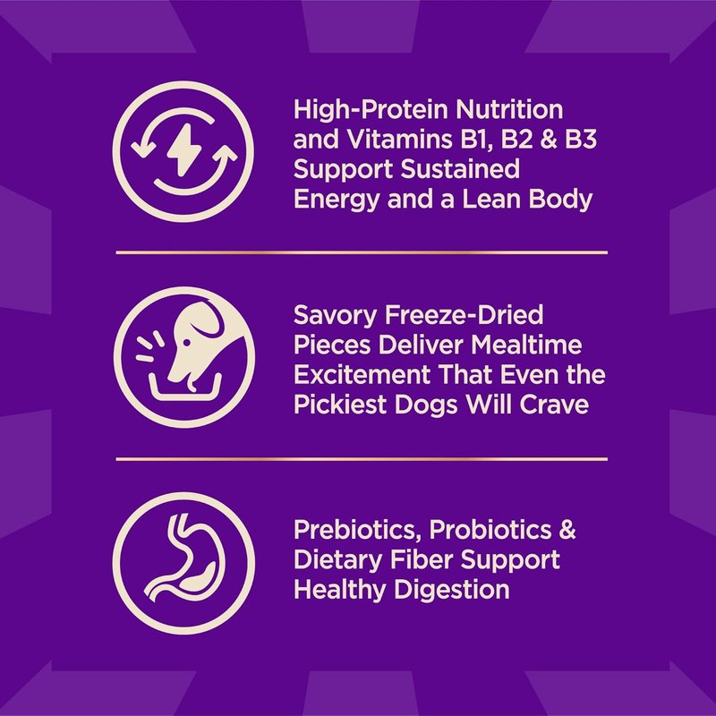 Wellness CORE+ Dry Dog Food - High Protein Turkey & Chicken Recipe | 4 lb Bag with Freeze-Dried Pieces
