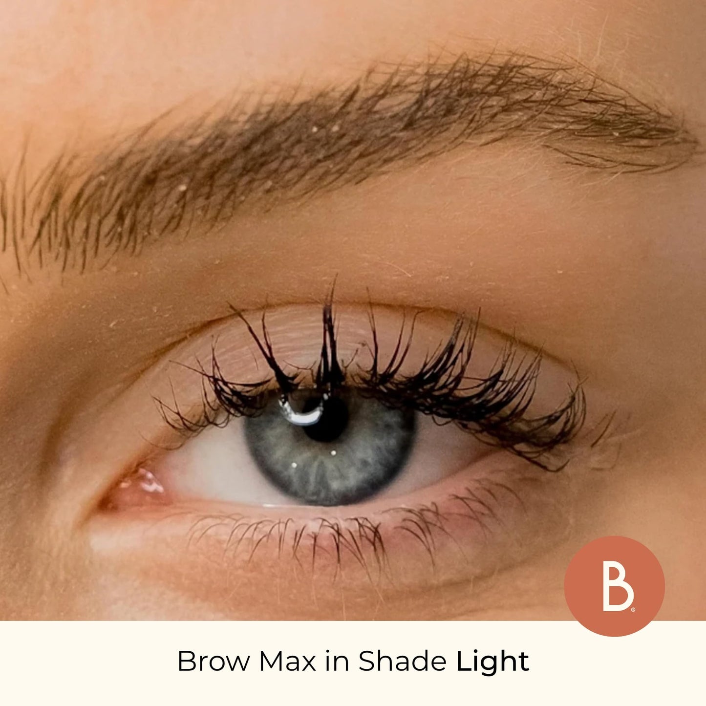 Beauty For Real Brow Max Ombre Brow Powder, Light - Shapes, Balances & Defines Eyebrows - Long-Wear Formula - Vegan, Cruelty Free & Paraben Free