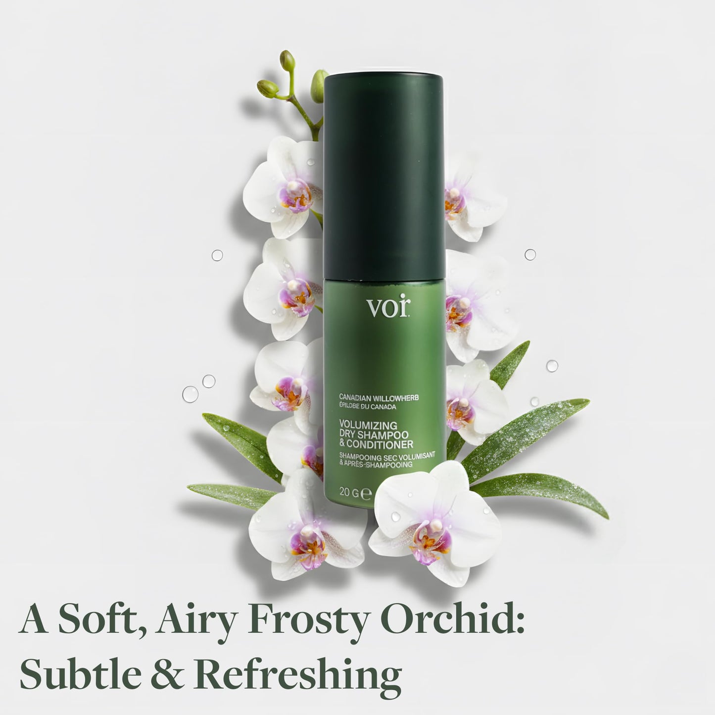 Voir Non-Aerosol Haircare Volumizing Dry Shampoo & Conditioner for Women, Organic Dry Shampoo Powder with Willowherb, Green Tea Extract, Oil-Absorbing, Scalp-Soothing, Travel Size, 0.67 oz