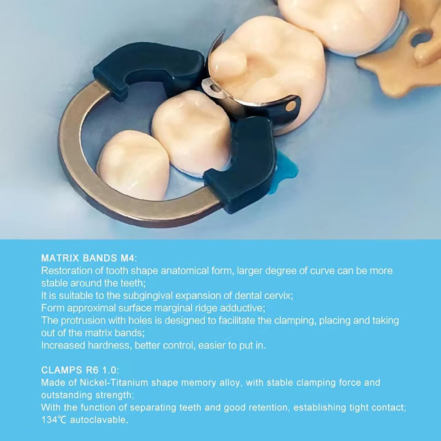Orthodontic Matrix Ring Clamp - Autoclavable Nickel Titanium | Contoured System for Pre & Post Molars (R6 Blue)