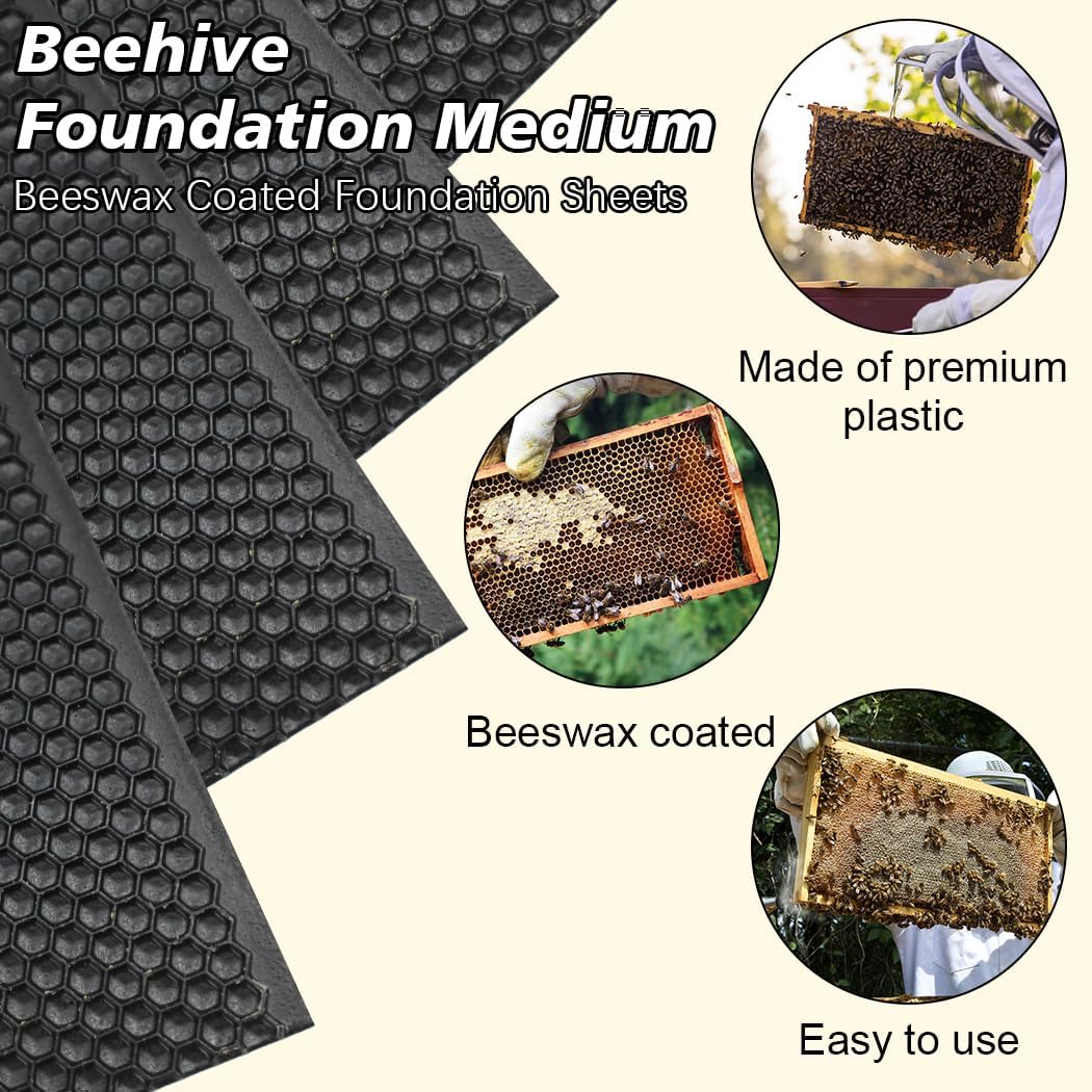 BeeCastle Beehive Frame Foundation Sheets - 10pcs Black Beeswax Coated, 5-5/8-Inch Medium Size