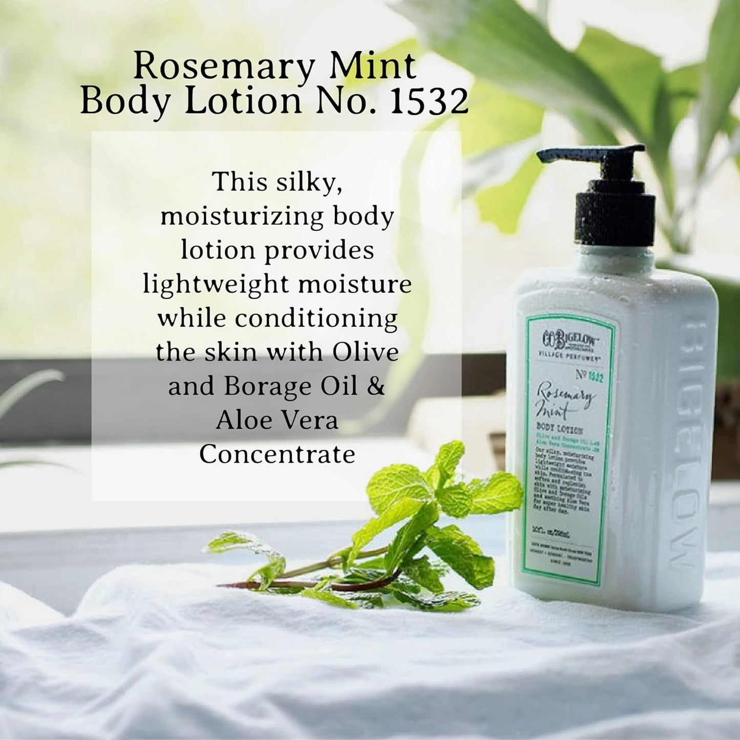C.O. Bigelow Rosemary Mint Hand Care Gift Set - Hand Wash & Lotion | 10 Fl Oz, Moisturizing Duo