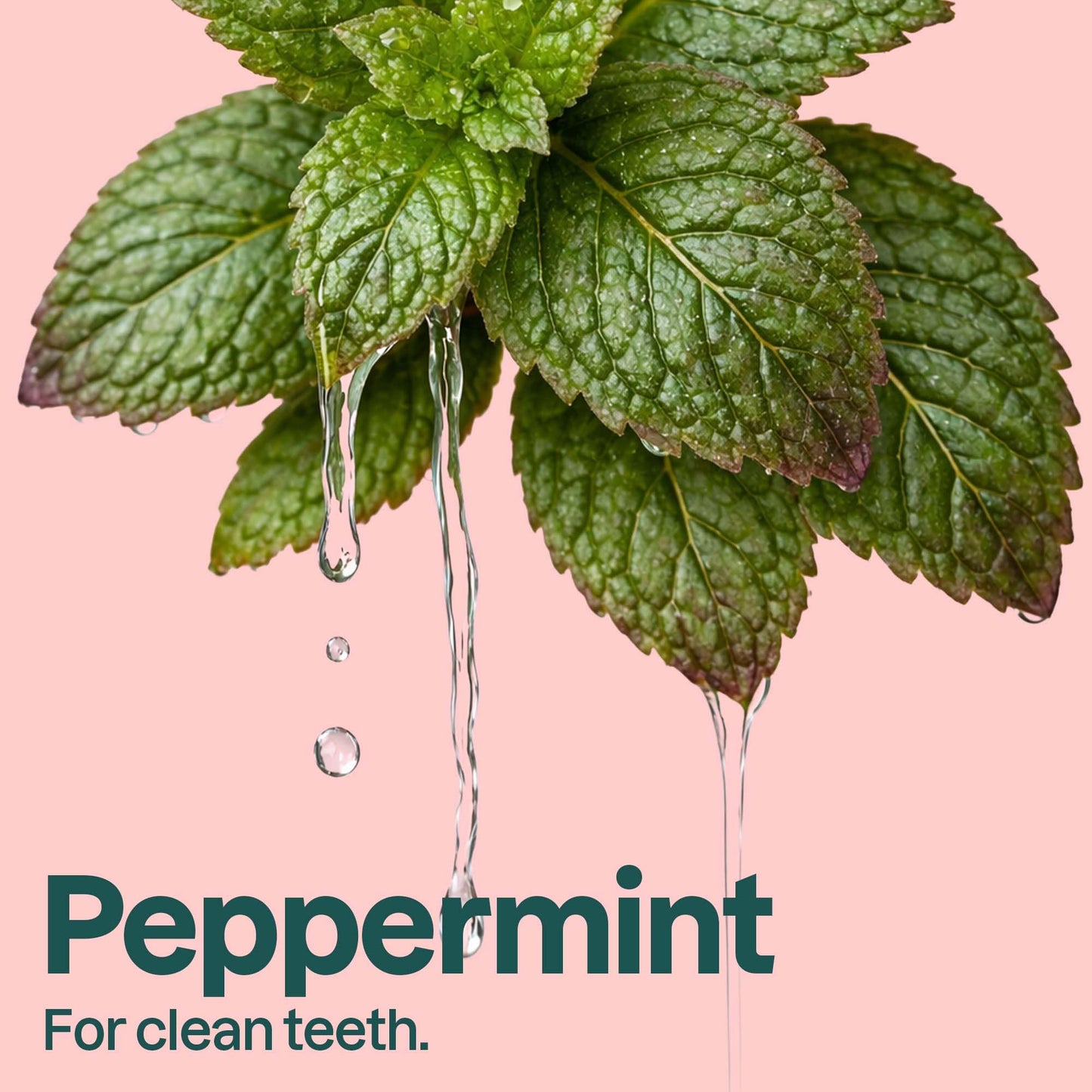 ATTITUDE Toothpaste with Fluoride, Prevents Tooth Decay and Cavities, Vegan, Cruelty-Free and Sugar-Free, Fresh Breath, Peppermint, 4.2 Oz (Pack of 2)