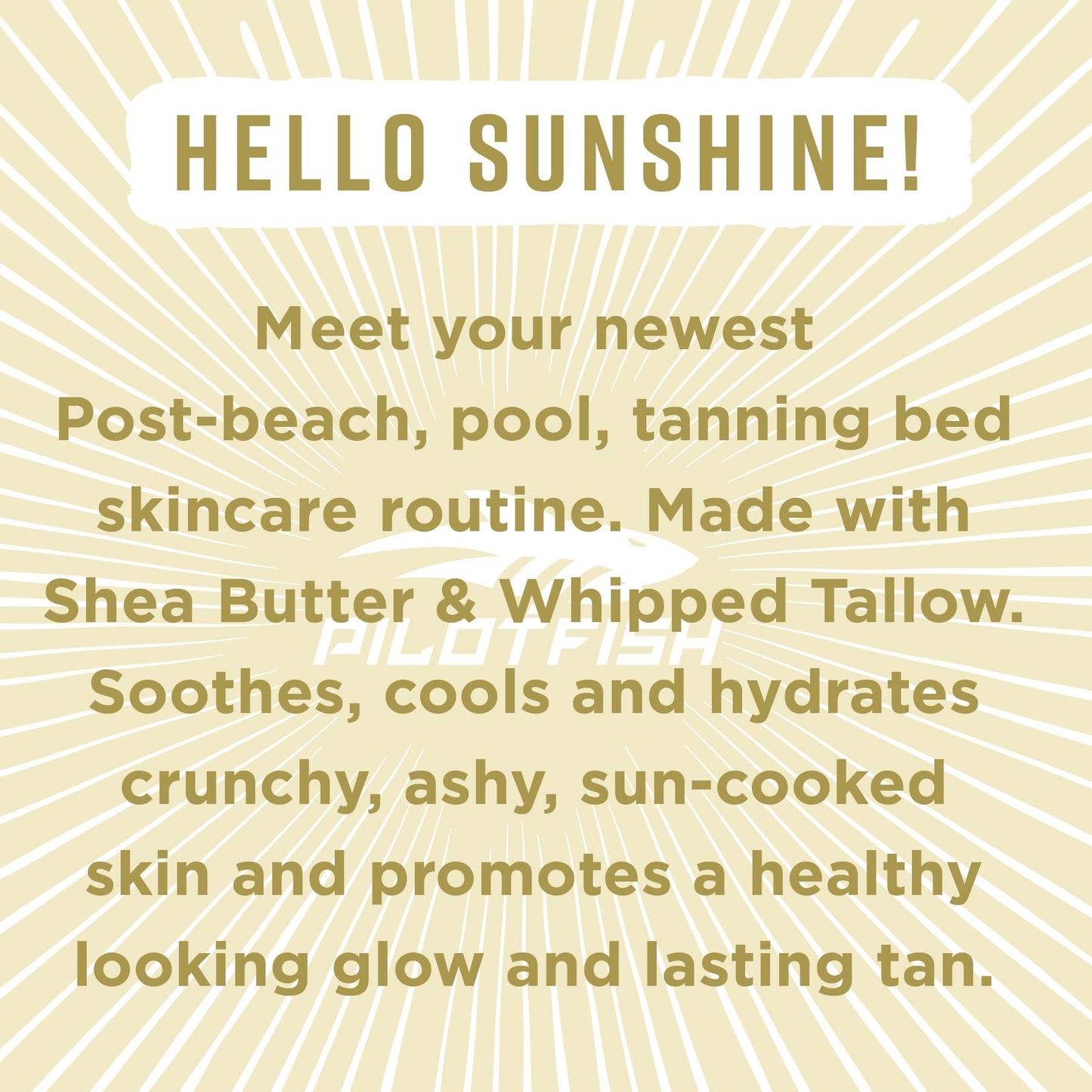 Pilotfish After Sun Body Butter Moisturizing Cream - Shea Butter & Whipped Tallow, Simple Ingredients, After Sun Lotion, Body Lotion, Coconut Oil, After Sun Care, After Sun Skin Care, 3.8oz