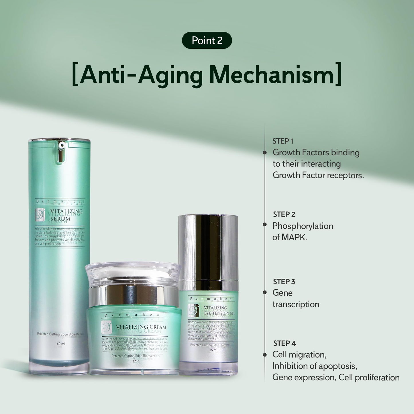 Dermaheal Vitalizing Serum Anti Aging Face Care with Biomimetic Peptides for Wrinkle Reduction and Skin Nutrient Supply 1.35 fl oz