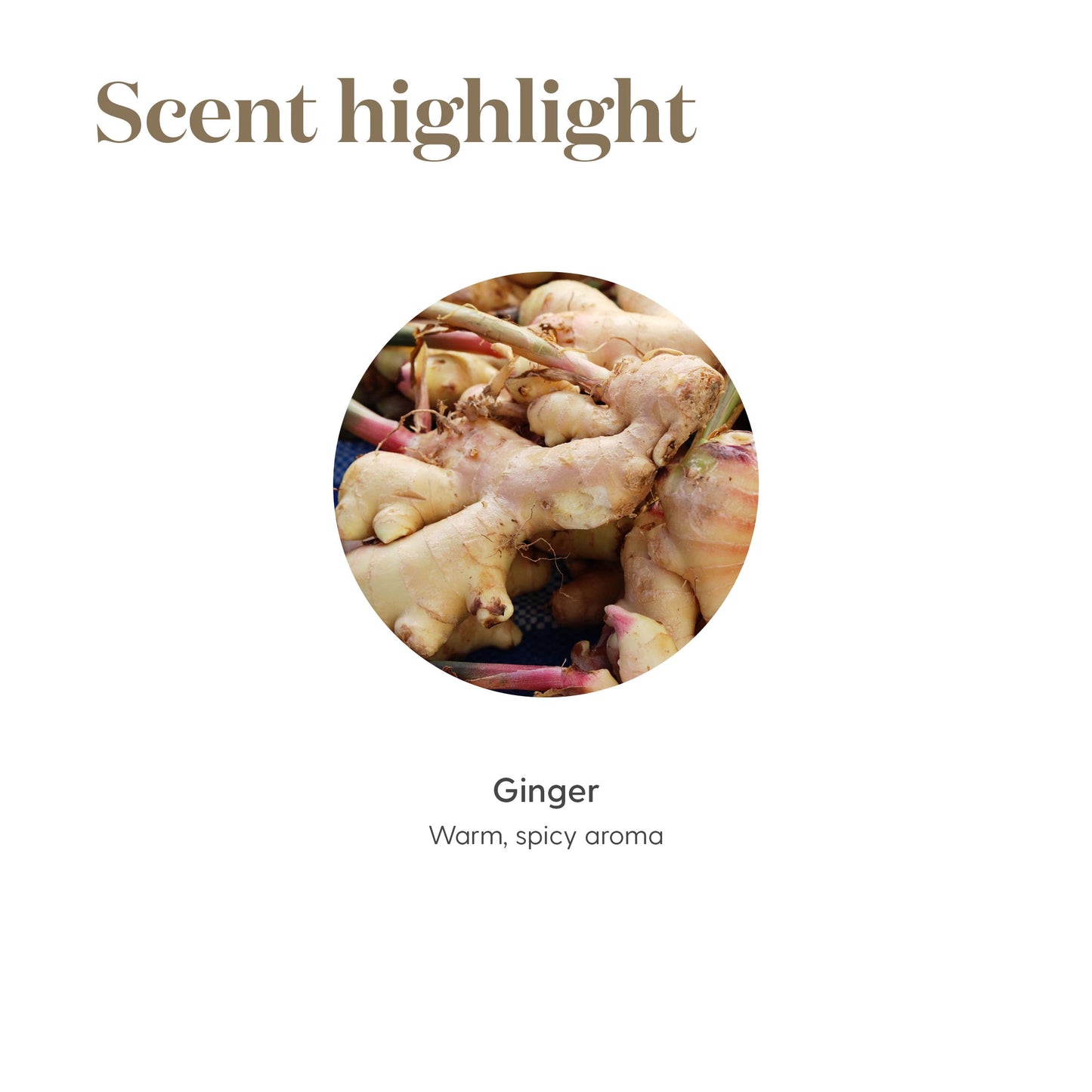 Young Living Ginger Vitality Essential Oil 5ml - Spicy Flavor Enhancer for Sweet and Savory Dishes - Digestive System Support - Culinary Aromatherapy for Cooking