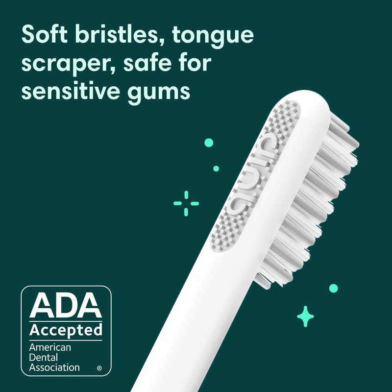 Quip Sonic Electric Toothbrush for Adults with Timer - Includes Travel Case & Replacement Brush Head - 3 Month Battery Life, Plastic Handle - Lavender
