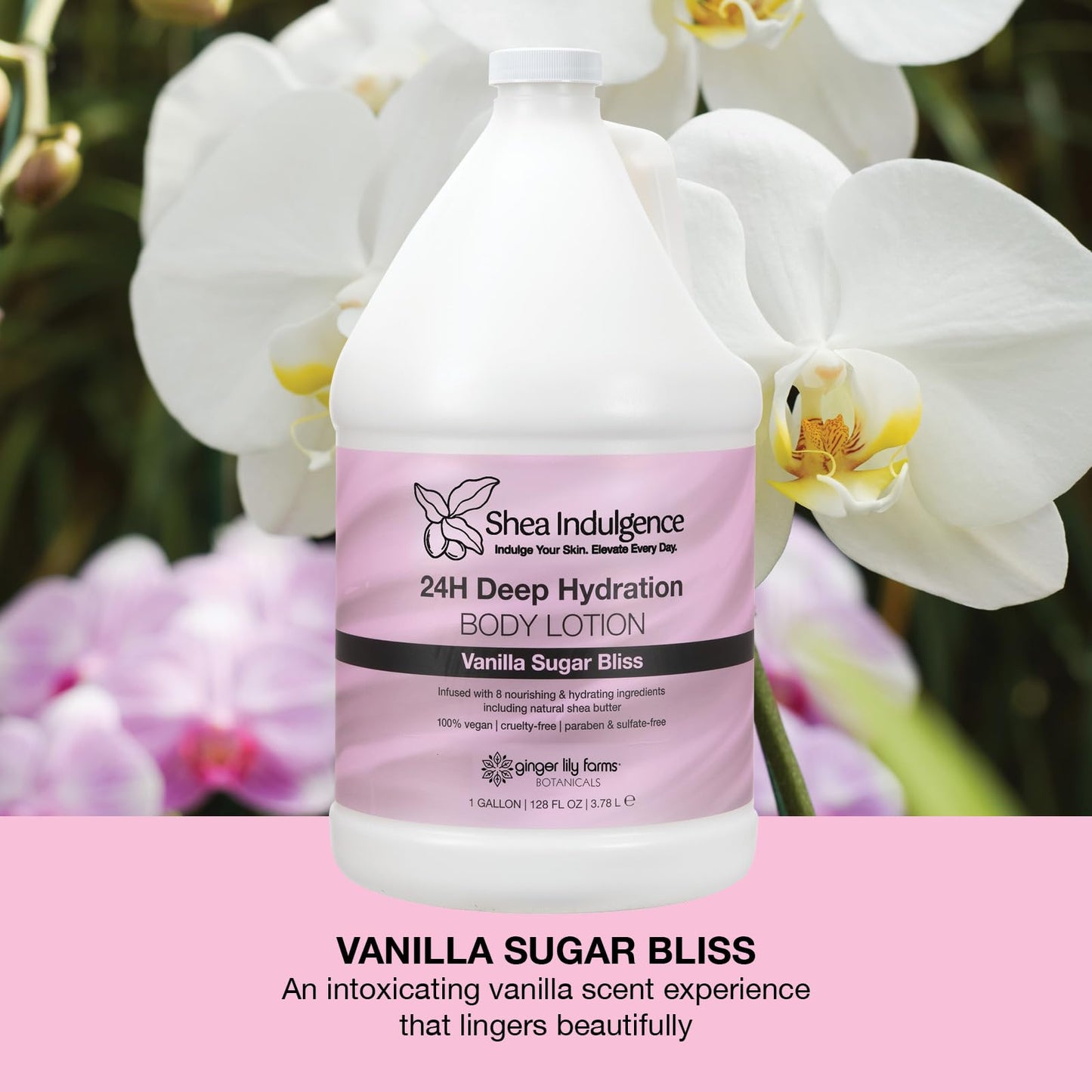 Ginger Lily Farms Botanicals Shea Indulgence 24H Deep Hydration Body Lotion, 100% Vegan & Cruelty-Free, Vanilla Sugar Bliss Scent, 1 Gallon (128 fl oz) Refill