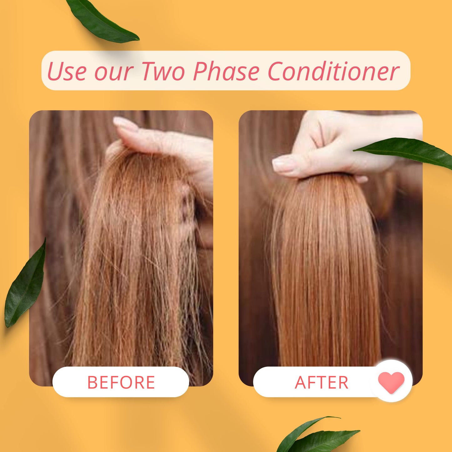 Morfose Professional Two Phase Leave-in Conditioner for Dry, Damaged, or Brittle Strands, Repairs and Protects, Damage, and Split Ends, 13.52 Fl. Oz (Biotin)