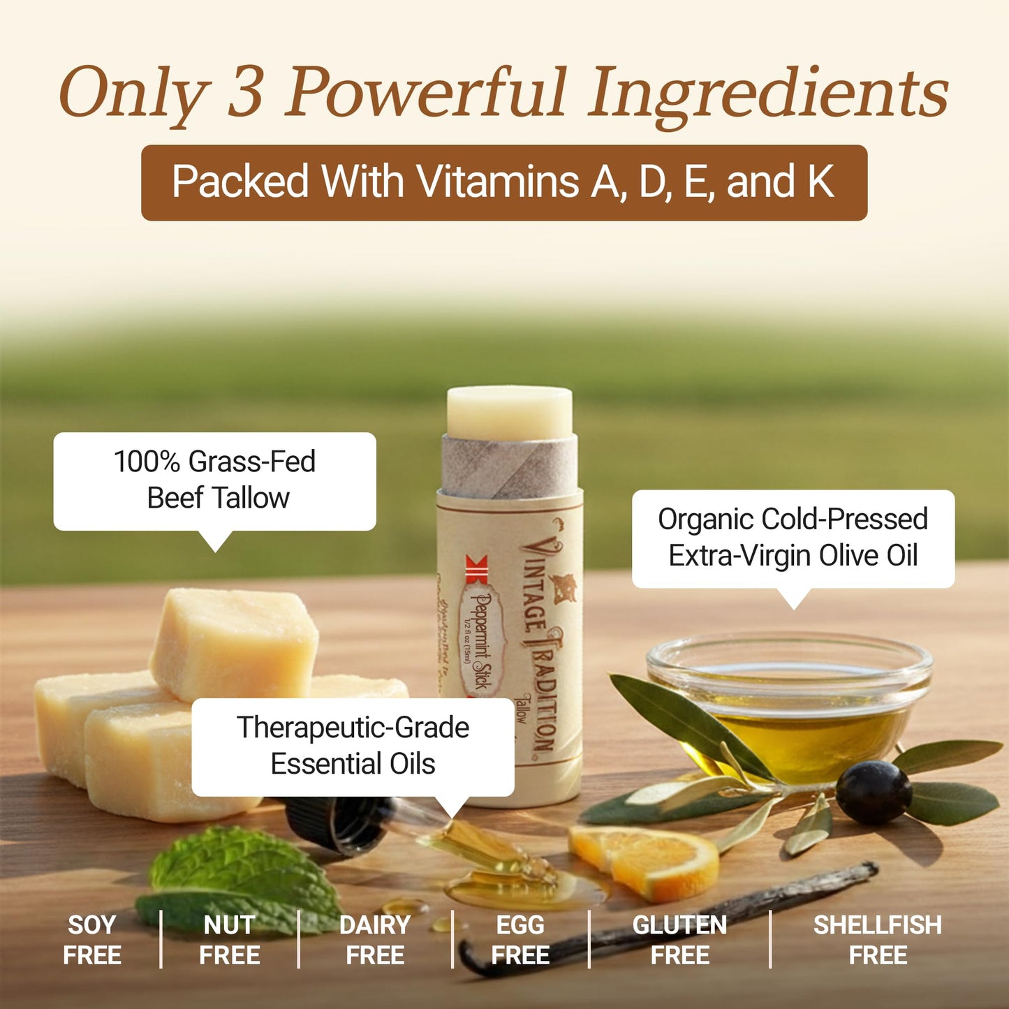 Vintage Tradition Moisturizing Beef Tallow Lip Balm – Tube Lip Moisturizer with Peppermint Essential Oil Hydrates & Soothes Dry Lips – Grass-Fed Tallow Balm for Skin Care, 0.5 Fl. Oz.